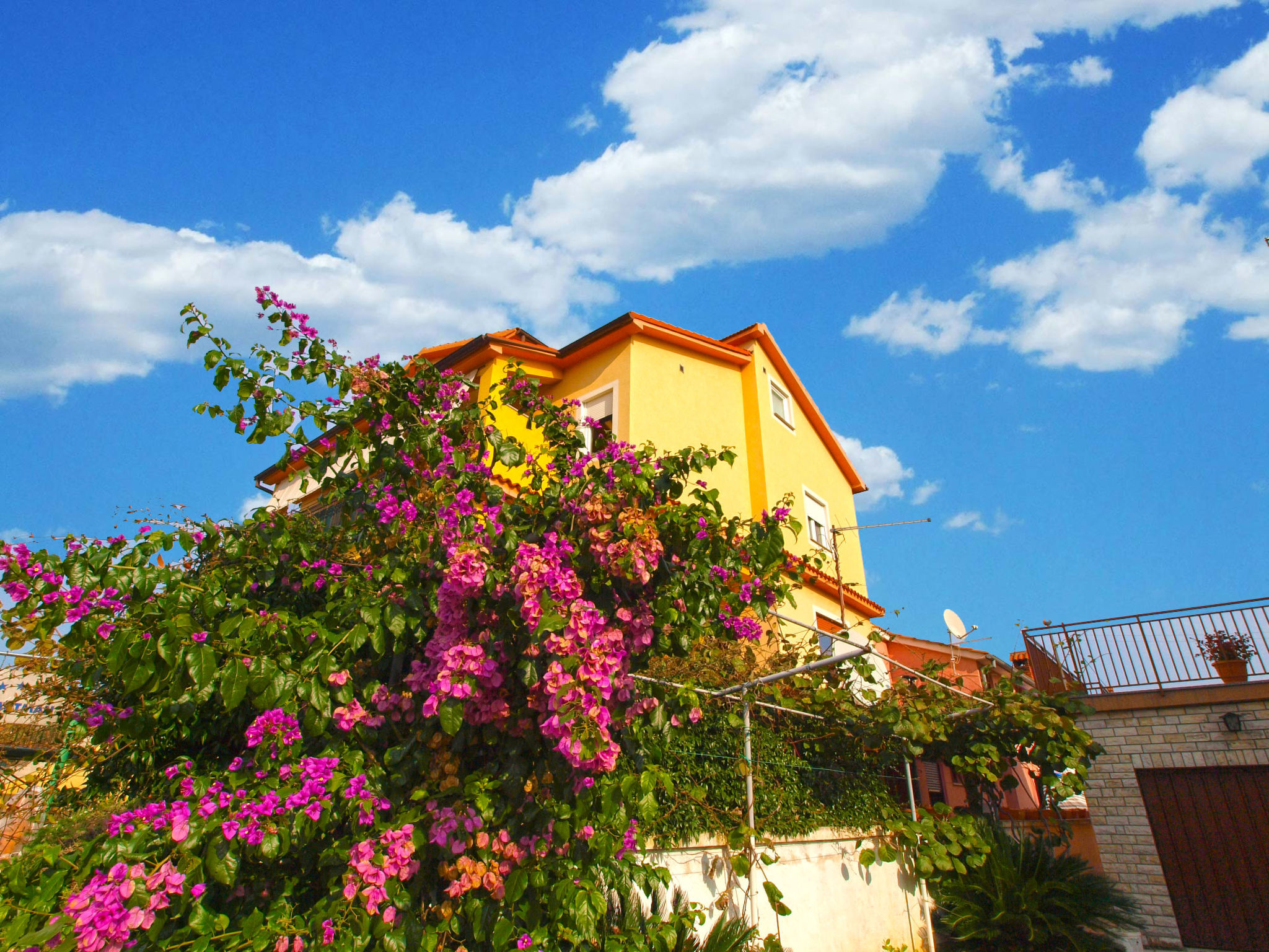 Photo of Apartment 1200