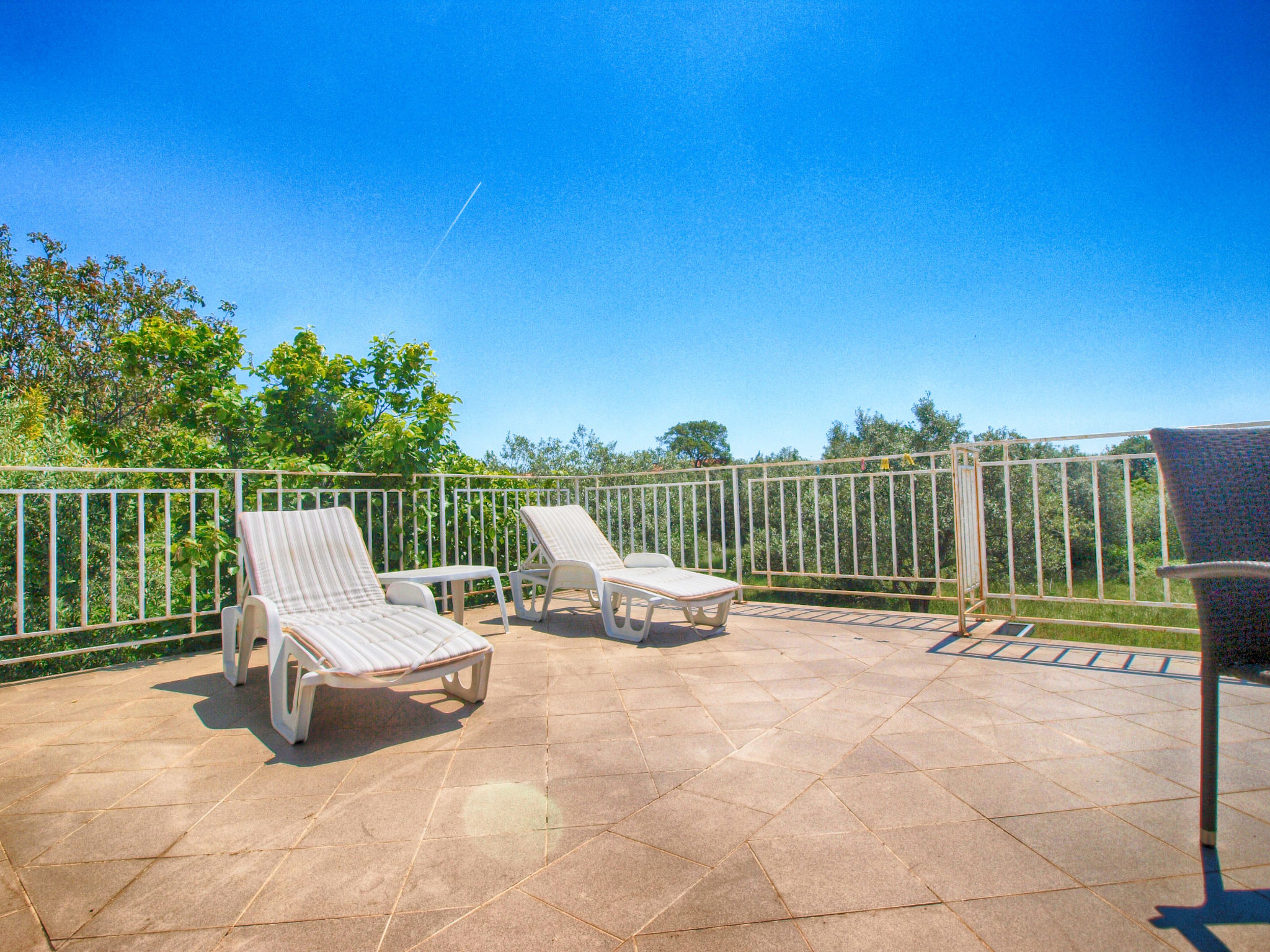 Photo of Apartment 1362