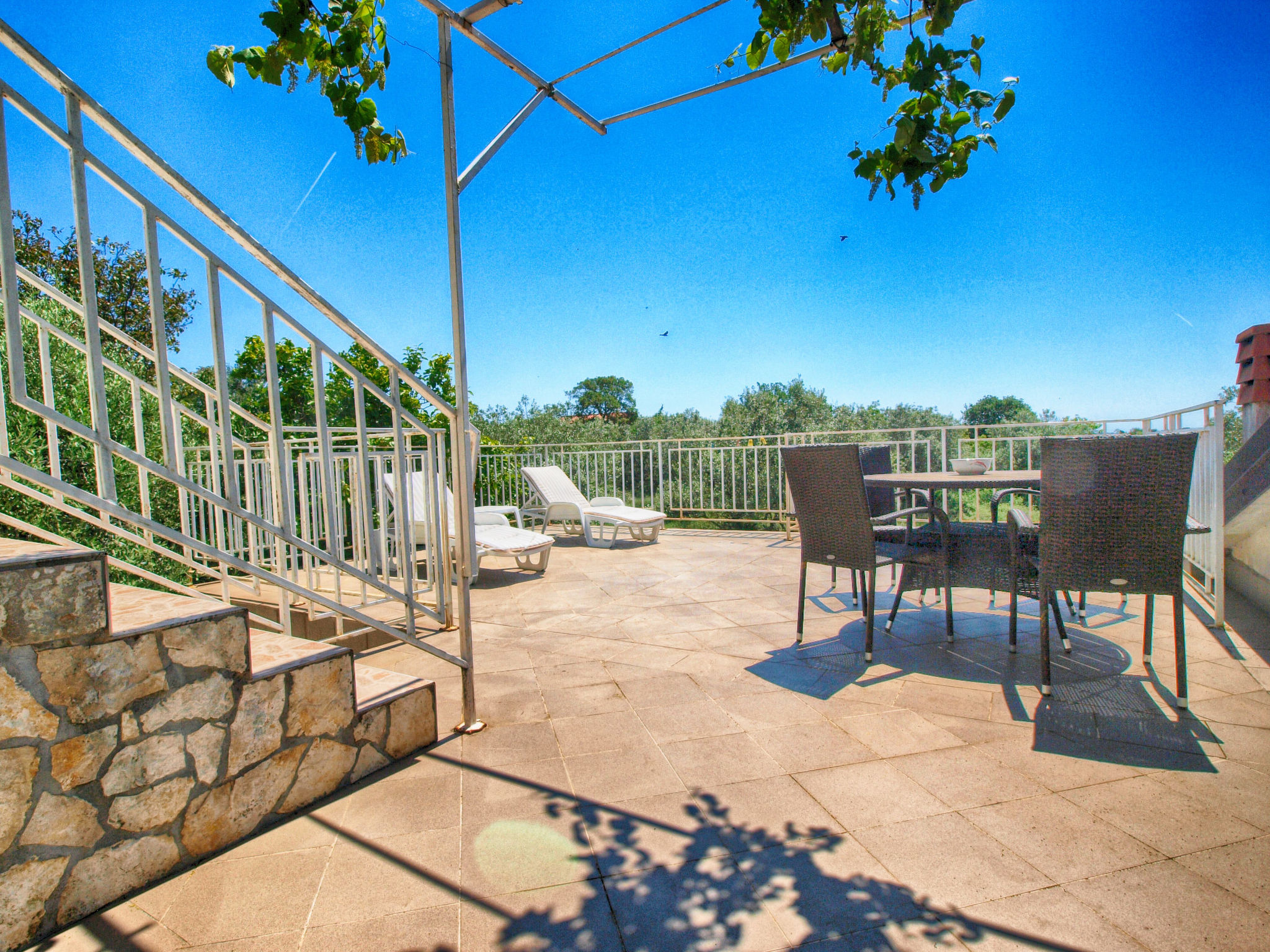 Photo of Apartment 1362