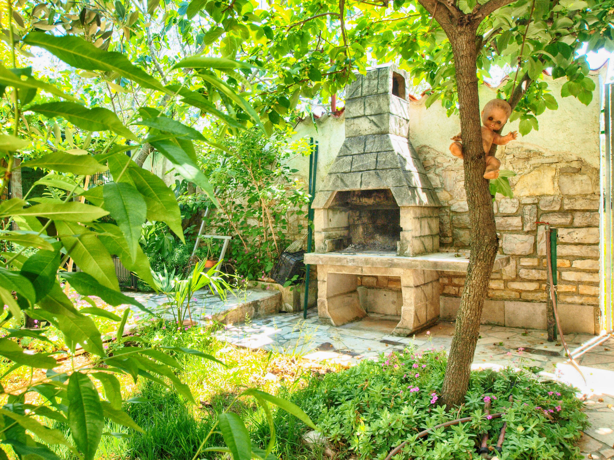 Photo of Apartment 1362