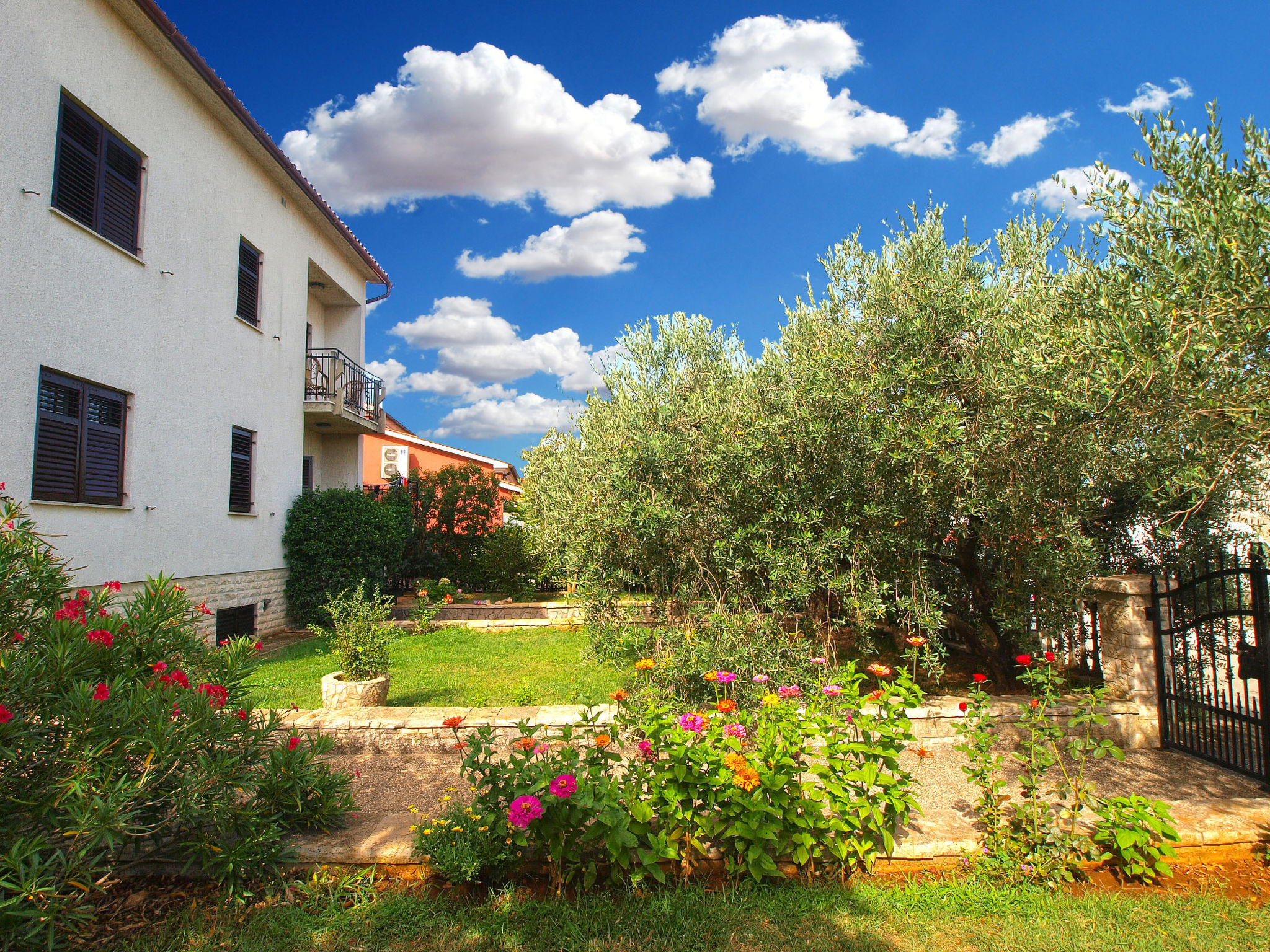 Photo of Apartment 442