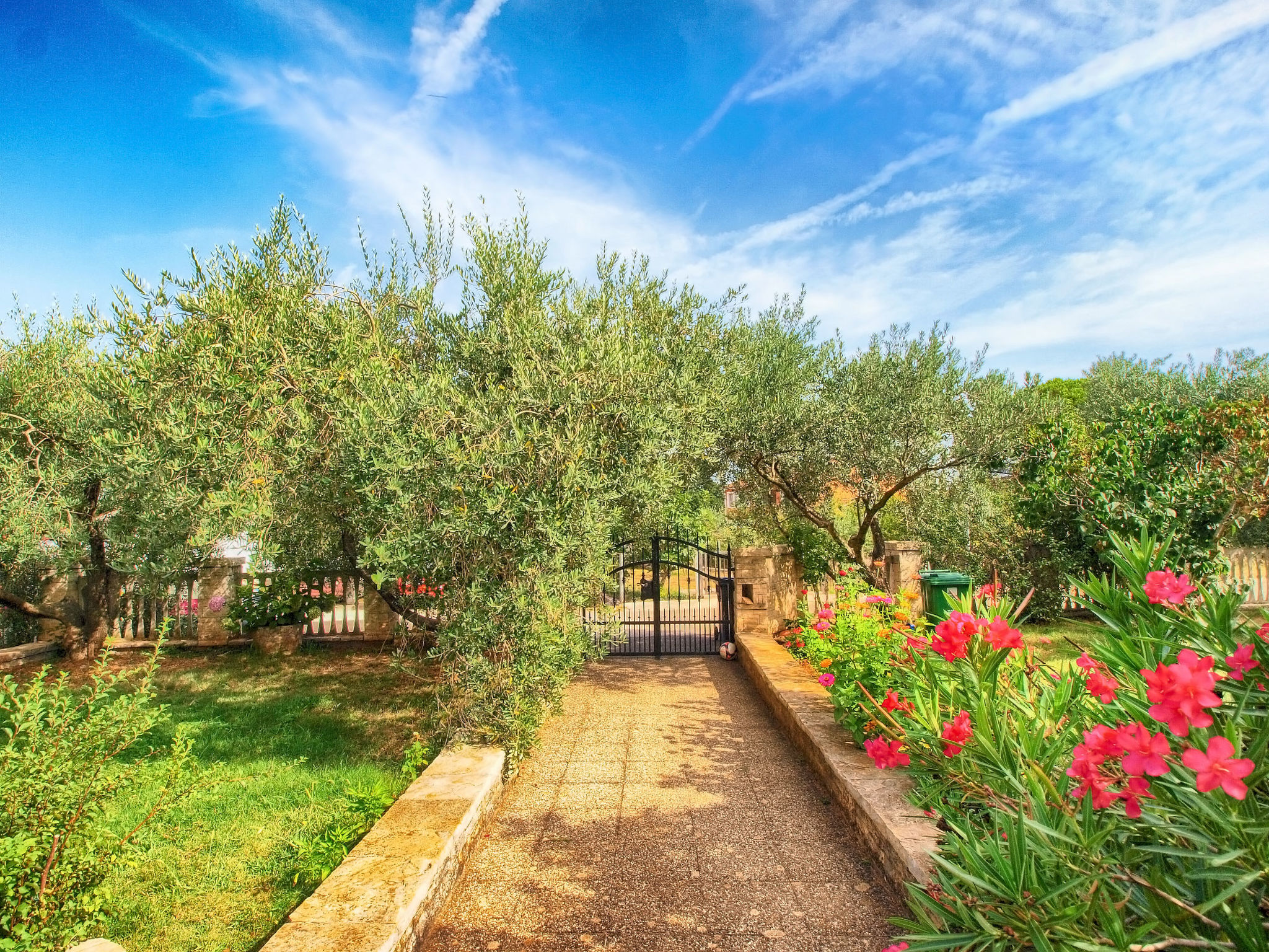 Photo of Apartment 442