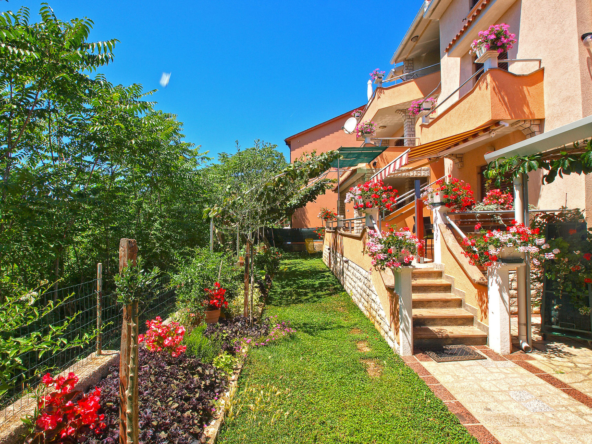 Photo of Apartment 994