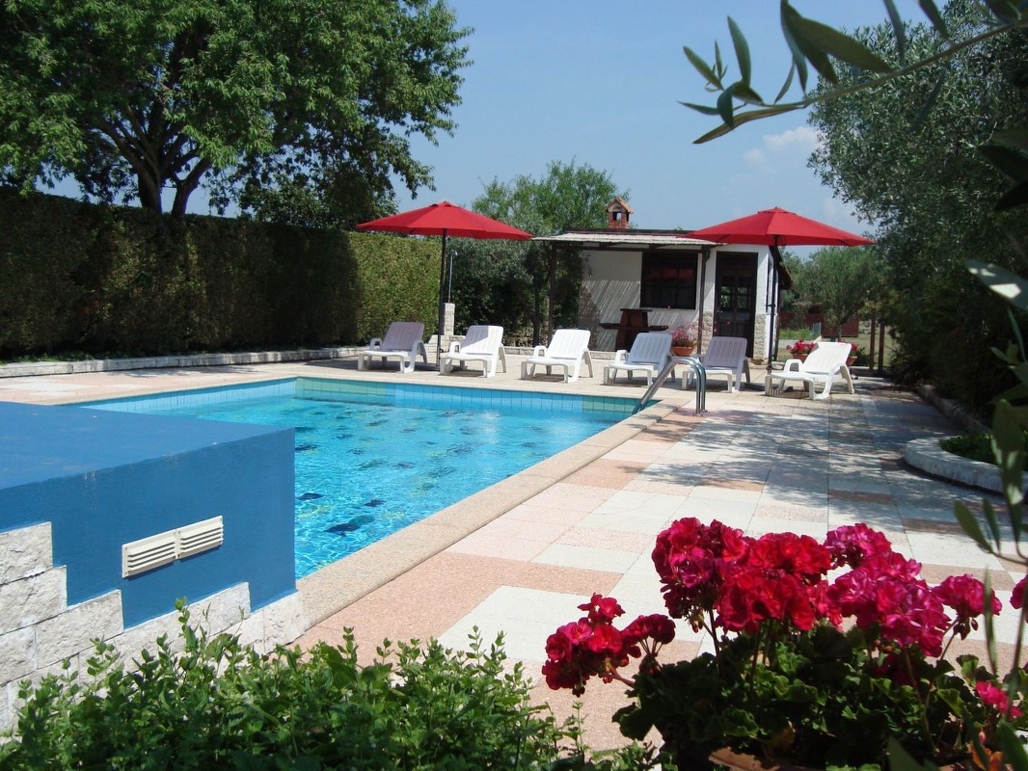 Photo of Casa Branka