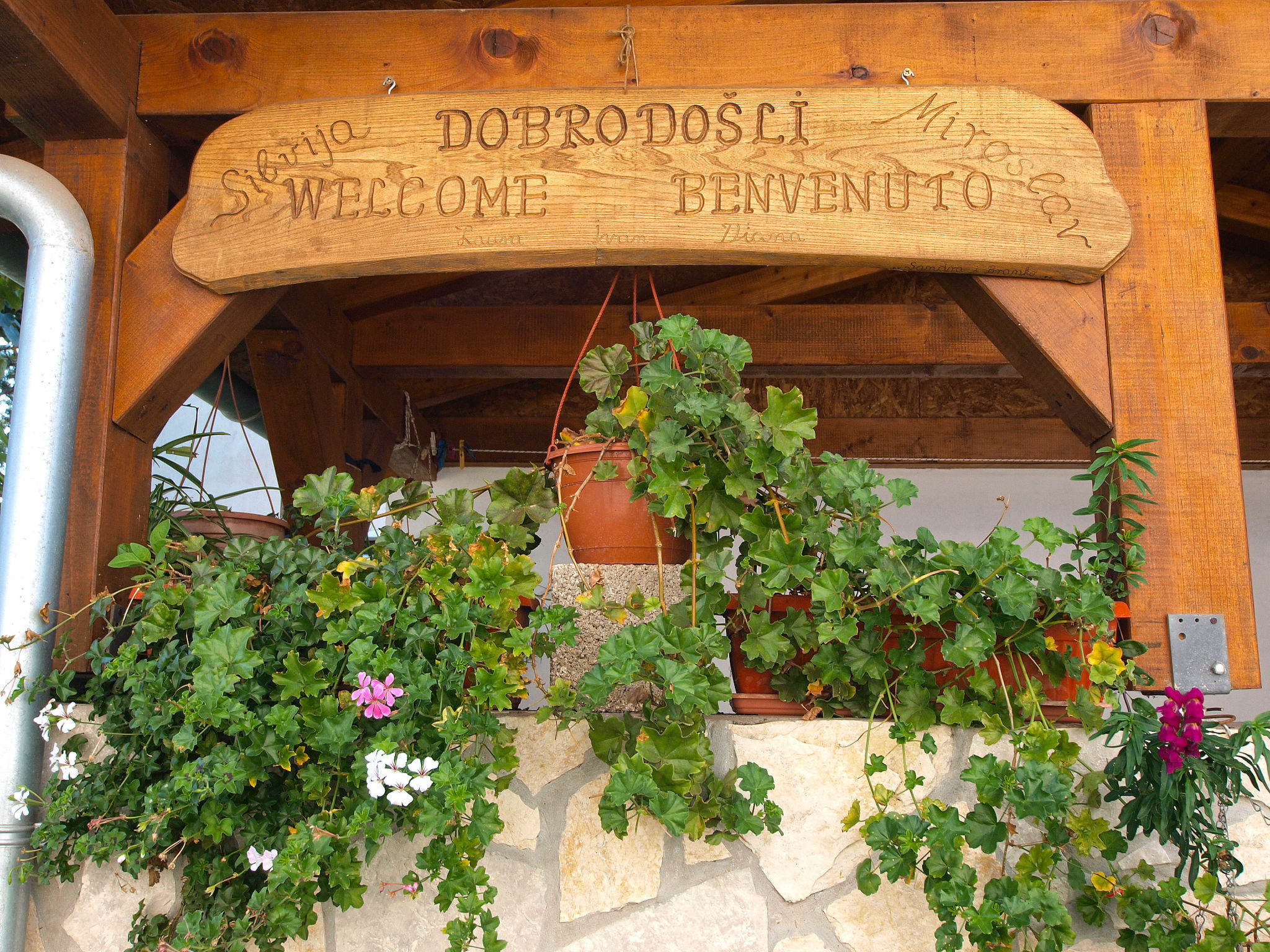 Photo of Apartment 143