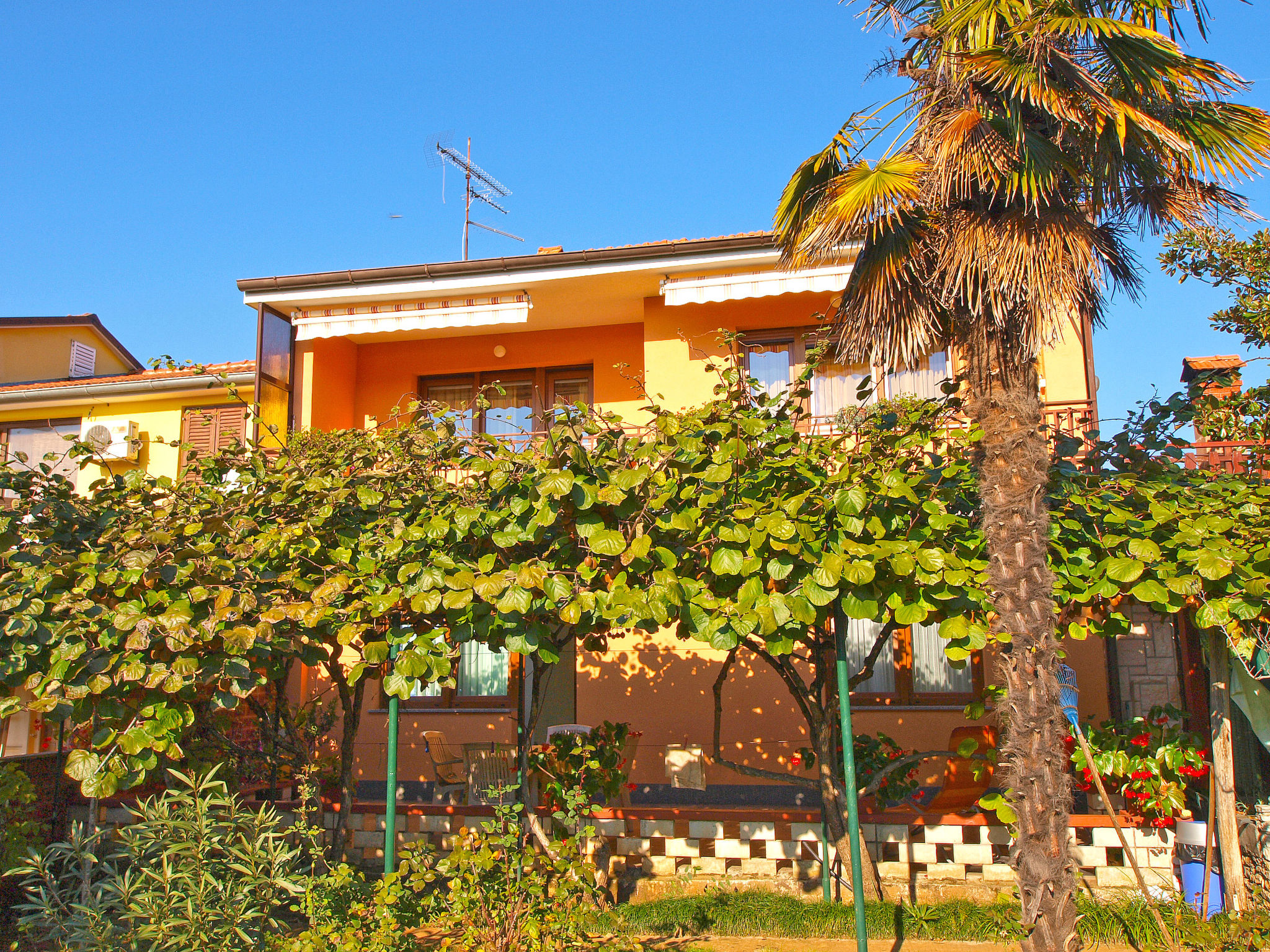 Photo of Apartment 933