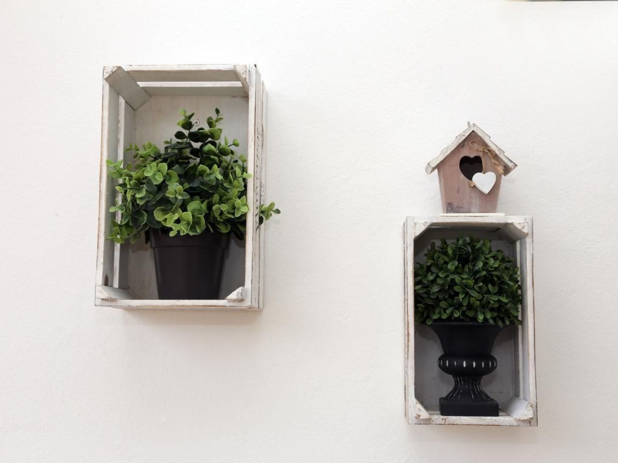 Photo of Wohnung "Pusteblume" mit Terrasse