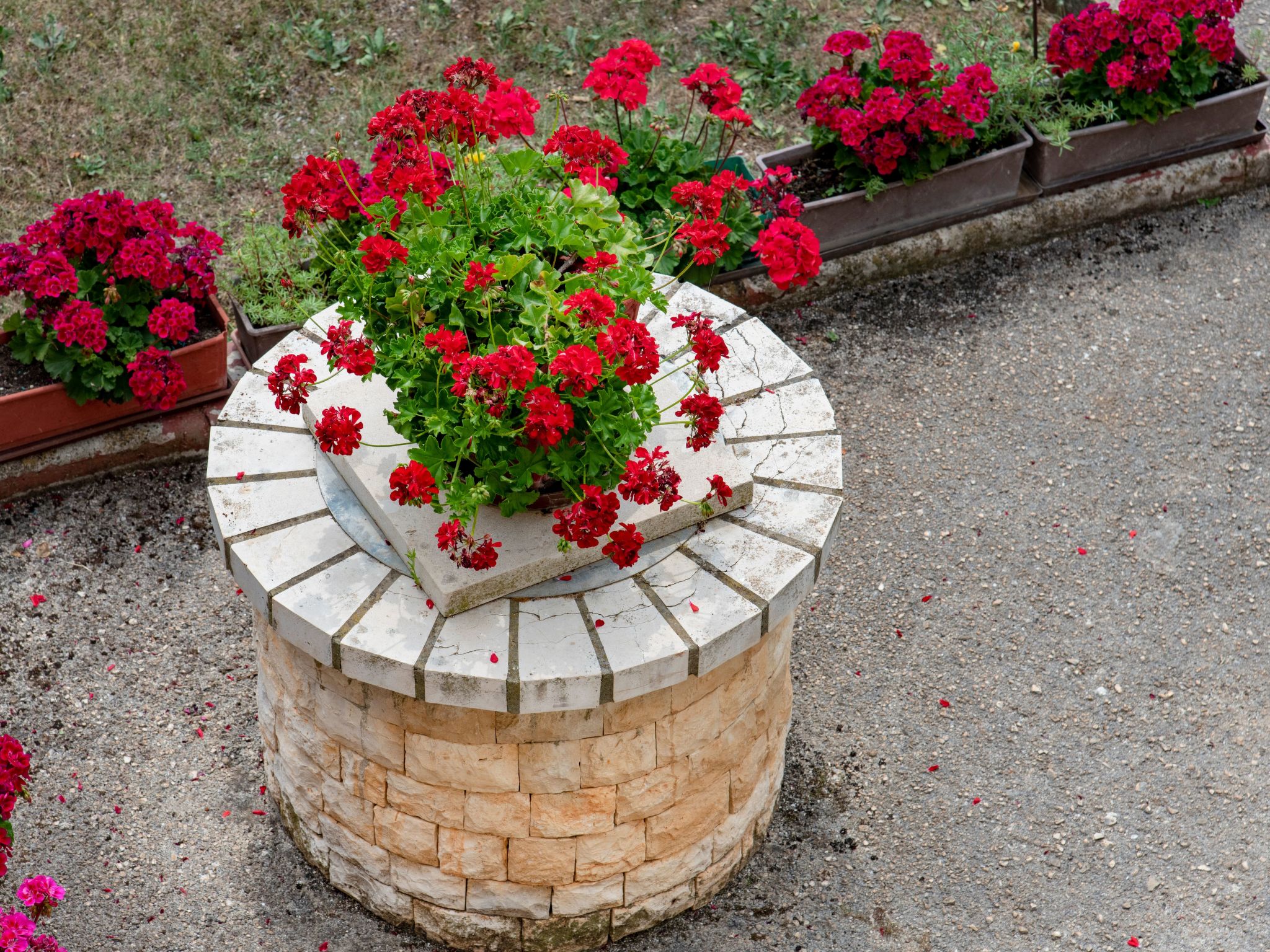 Wohnung a-Image-tags.info