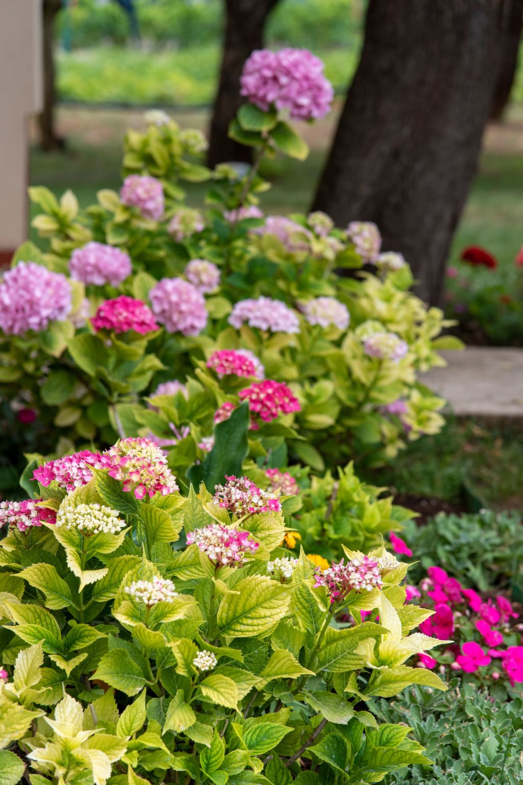 Gemütliche und moderne Wohnung-Image-tags.info