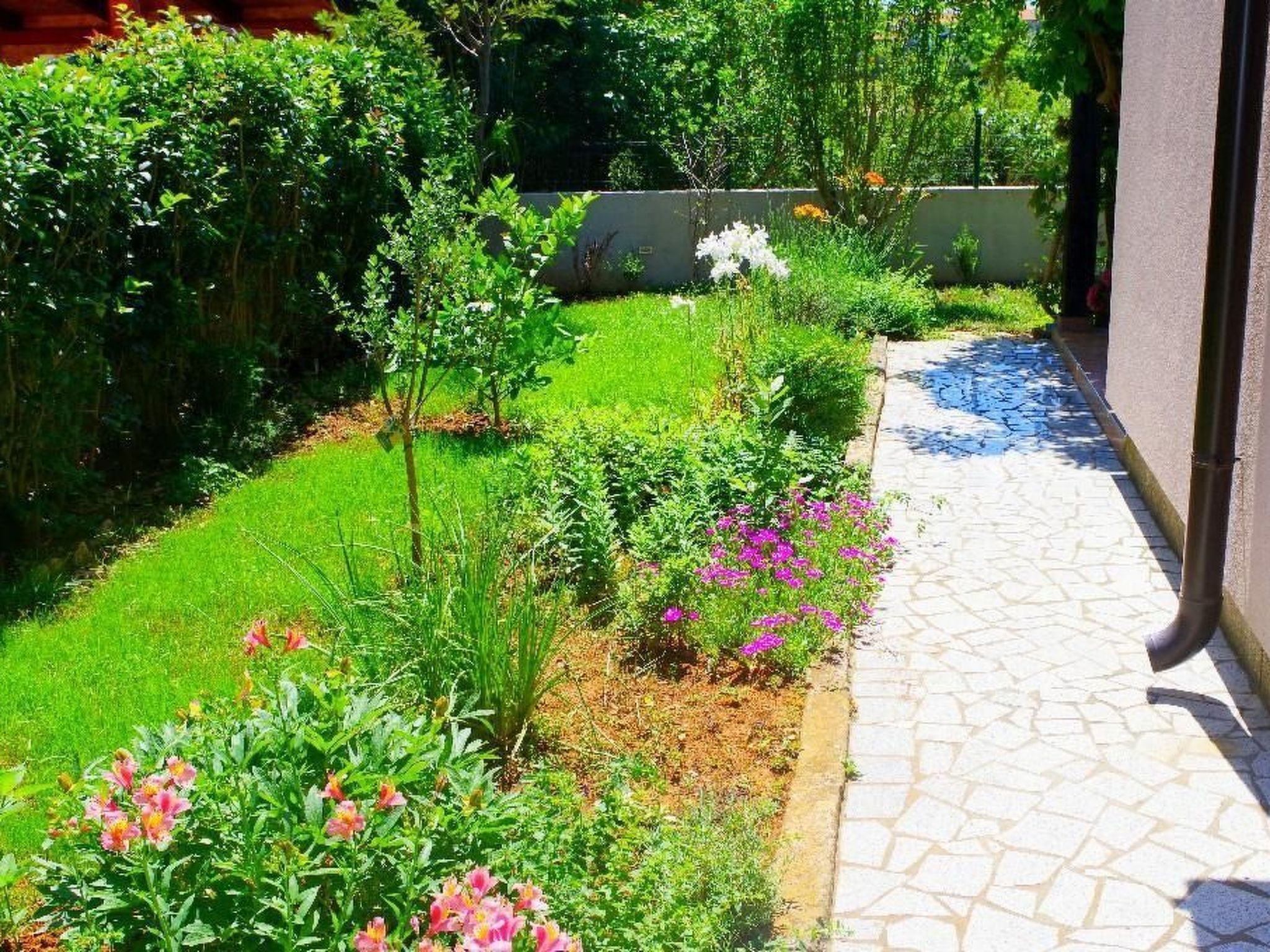 Photo of "Luciana" in Valbandon