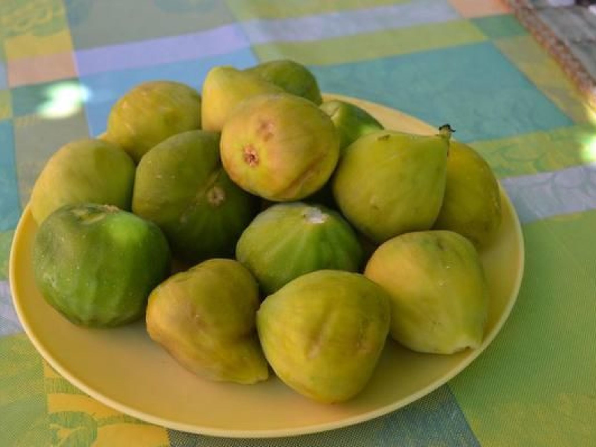 Photo of in Pula mit Grill, Terrasse und Garten
