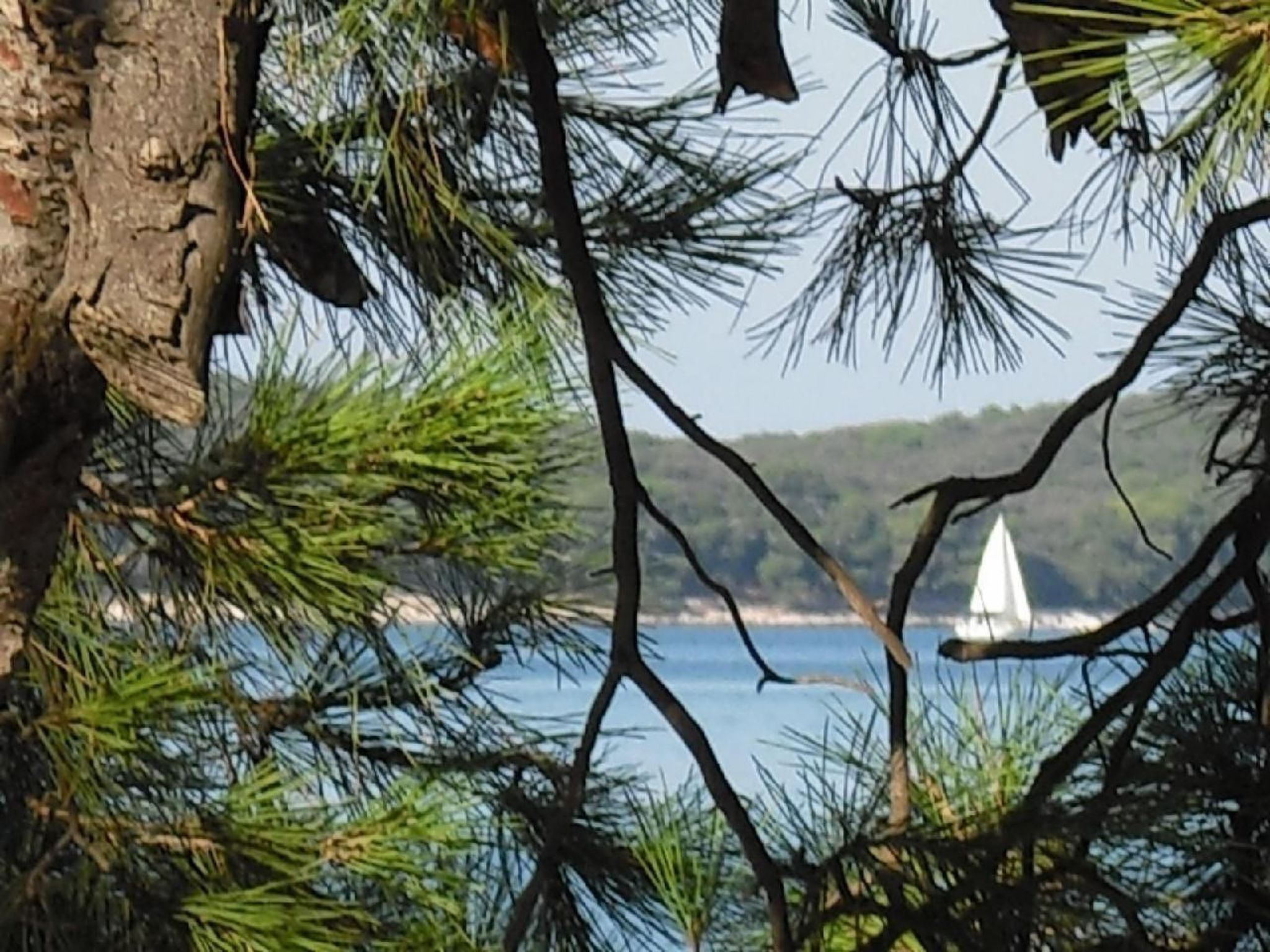 Photo of in Pula mit Grill, Terrasse und Garten