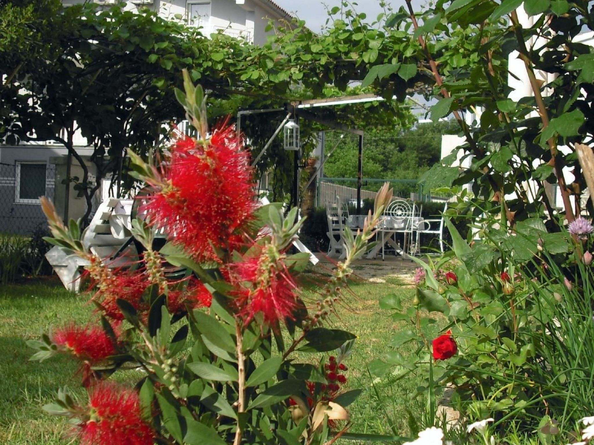 Photo of in Pula mit Grill, Terrasse und Garten