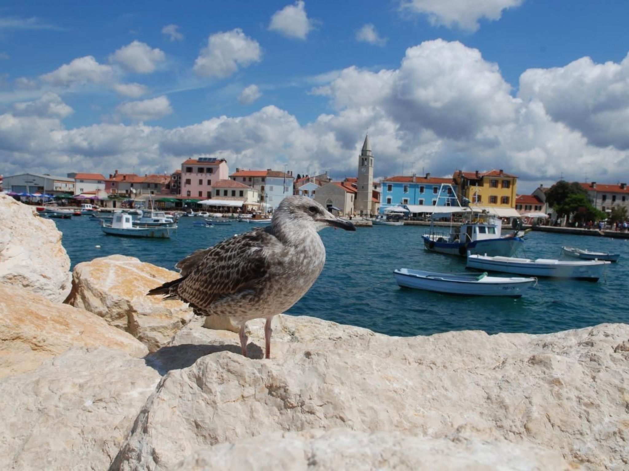 Photo of Studio-Apartment in Stinjan, 600 m vom Strand entfernt