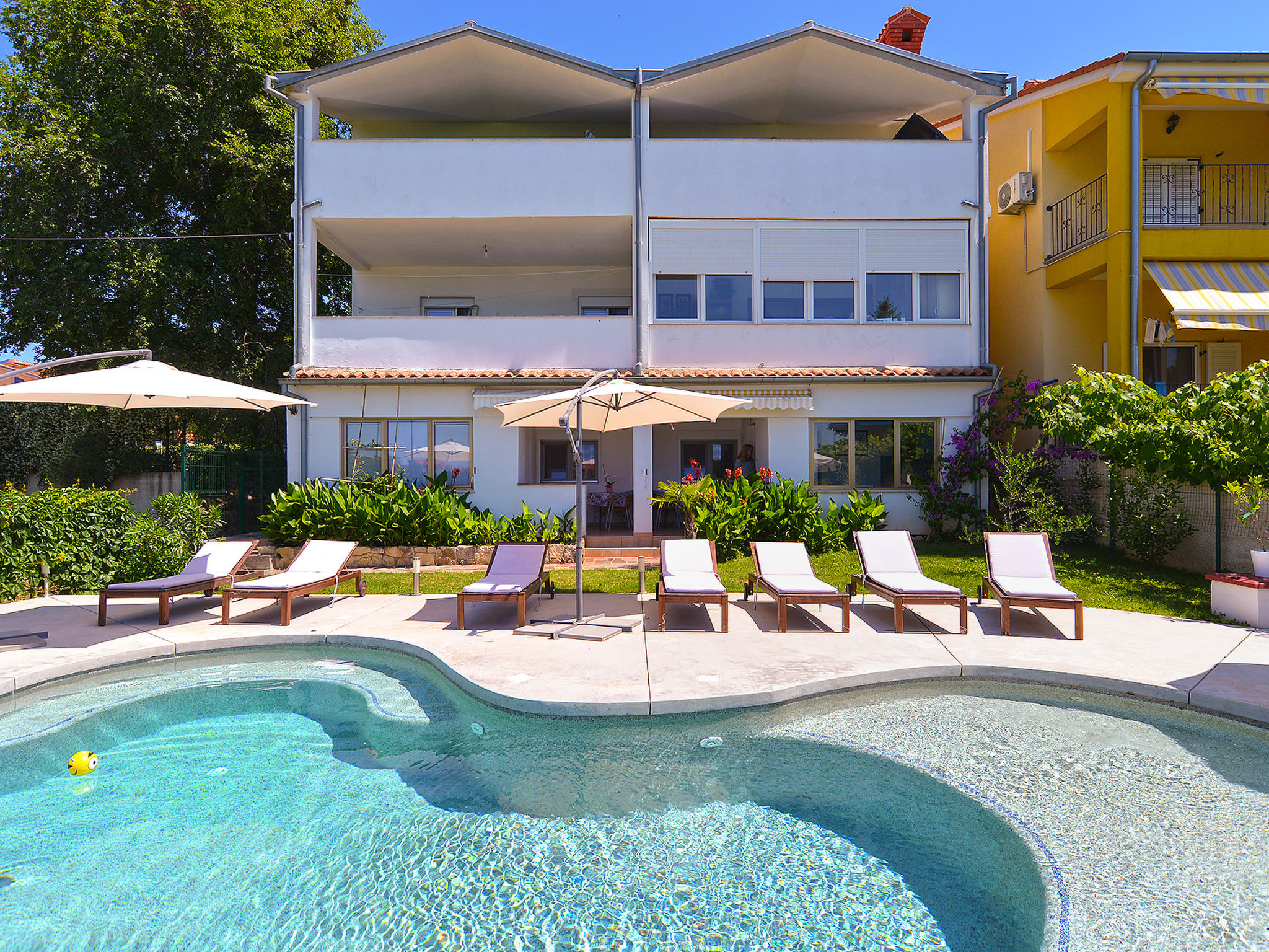 Photo of Apartment 31