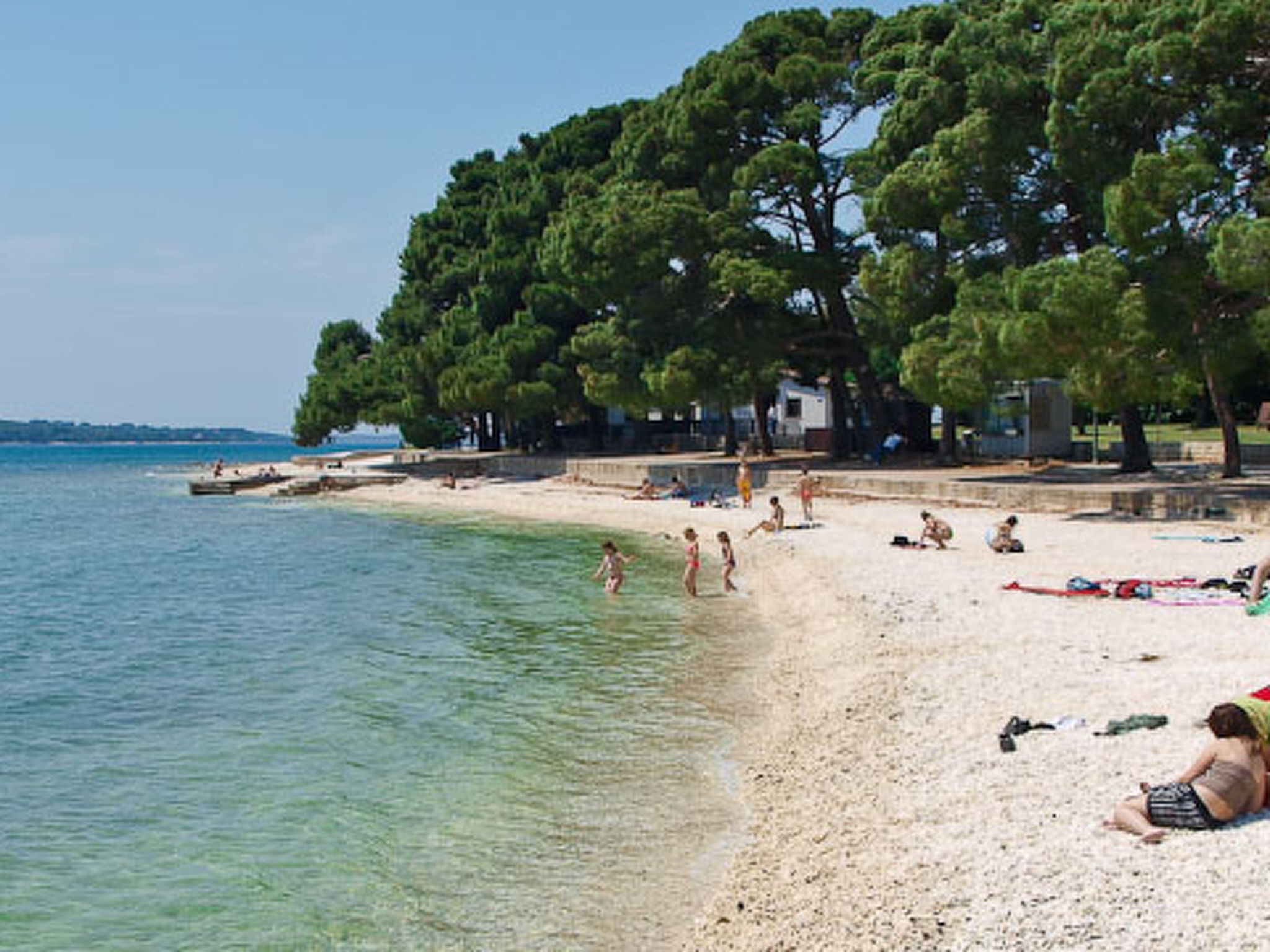 Photo of Apartment 590