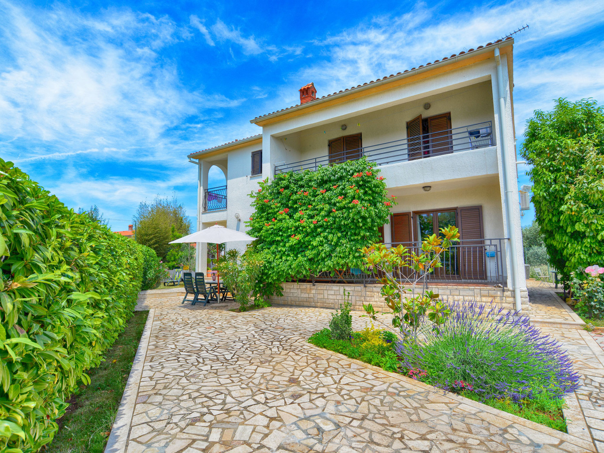 Photo of Apartment 590