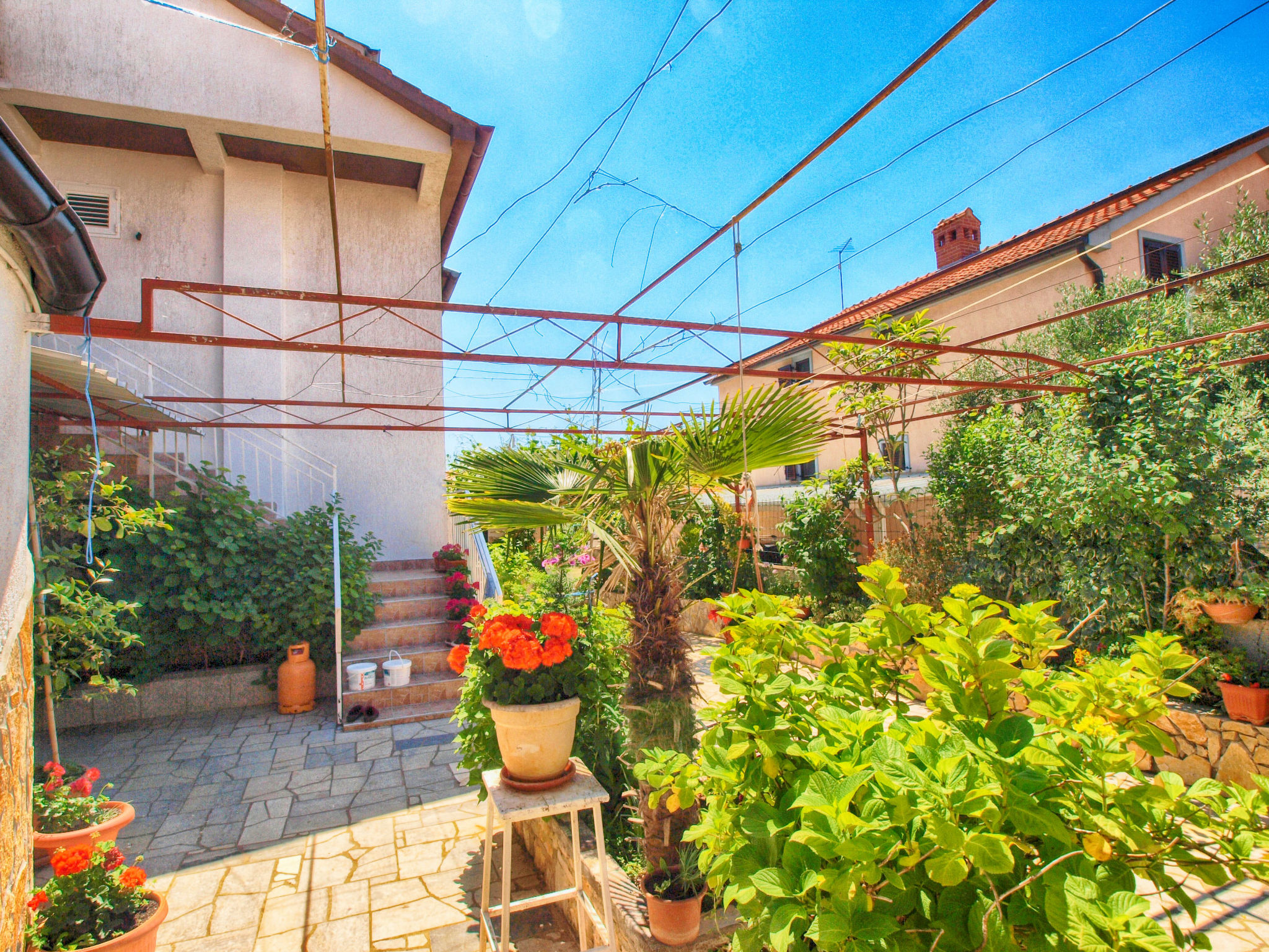 Photo of Apartment 1362