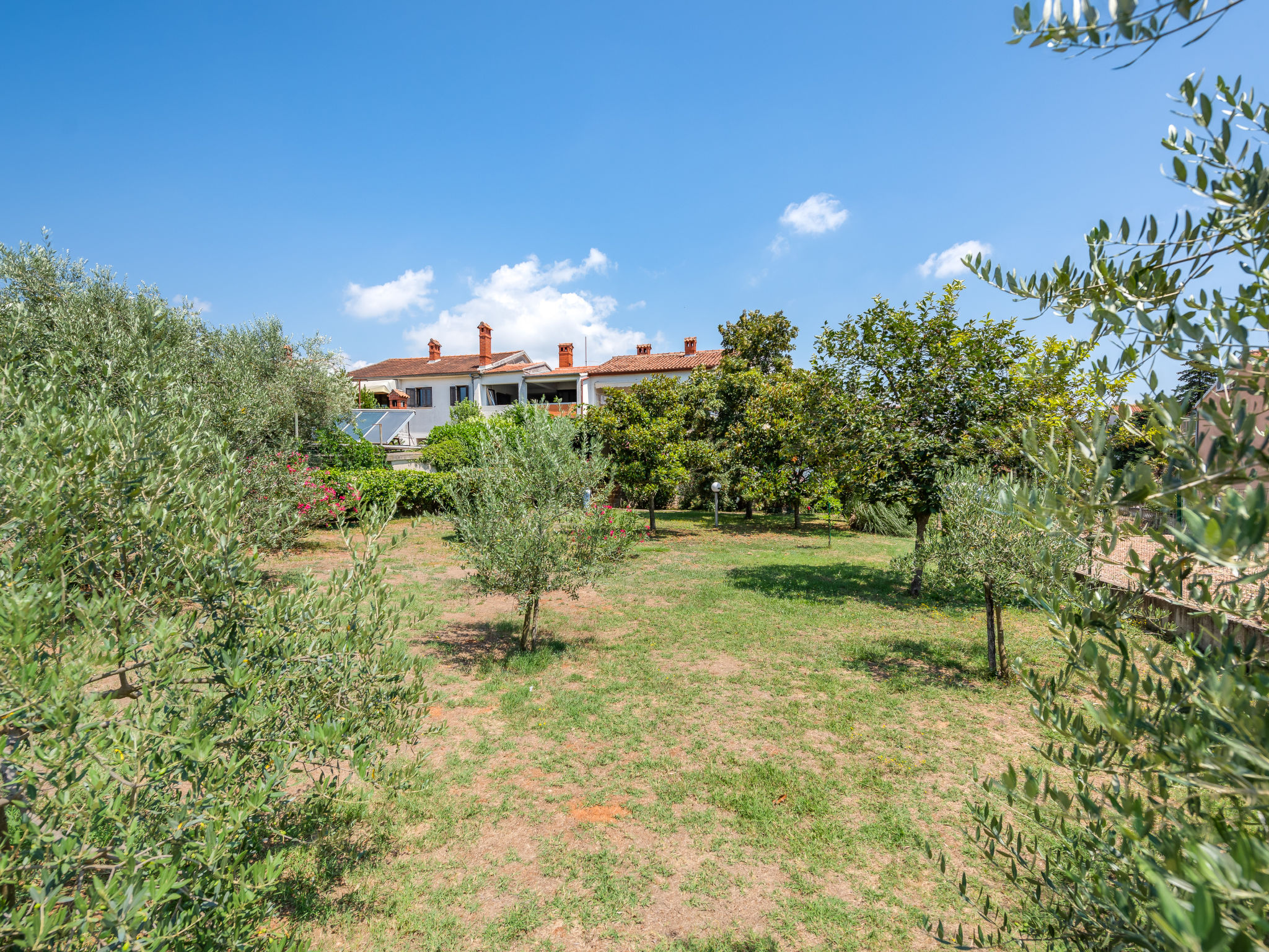 Photo of Apartment 1699