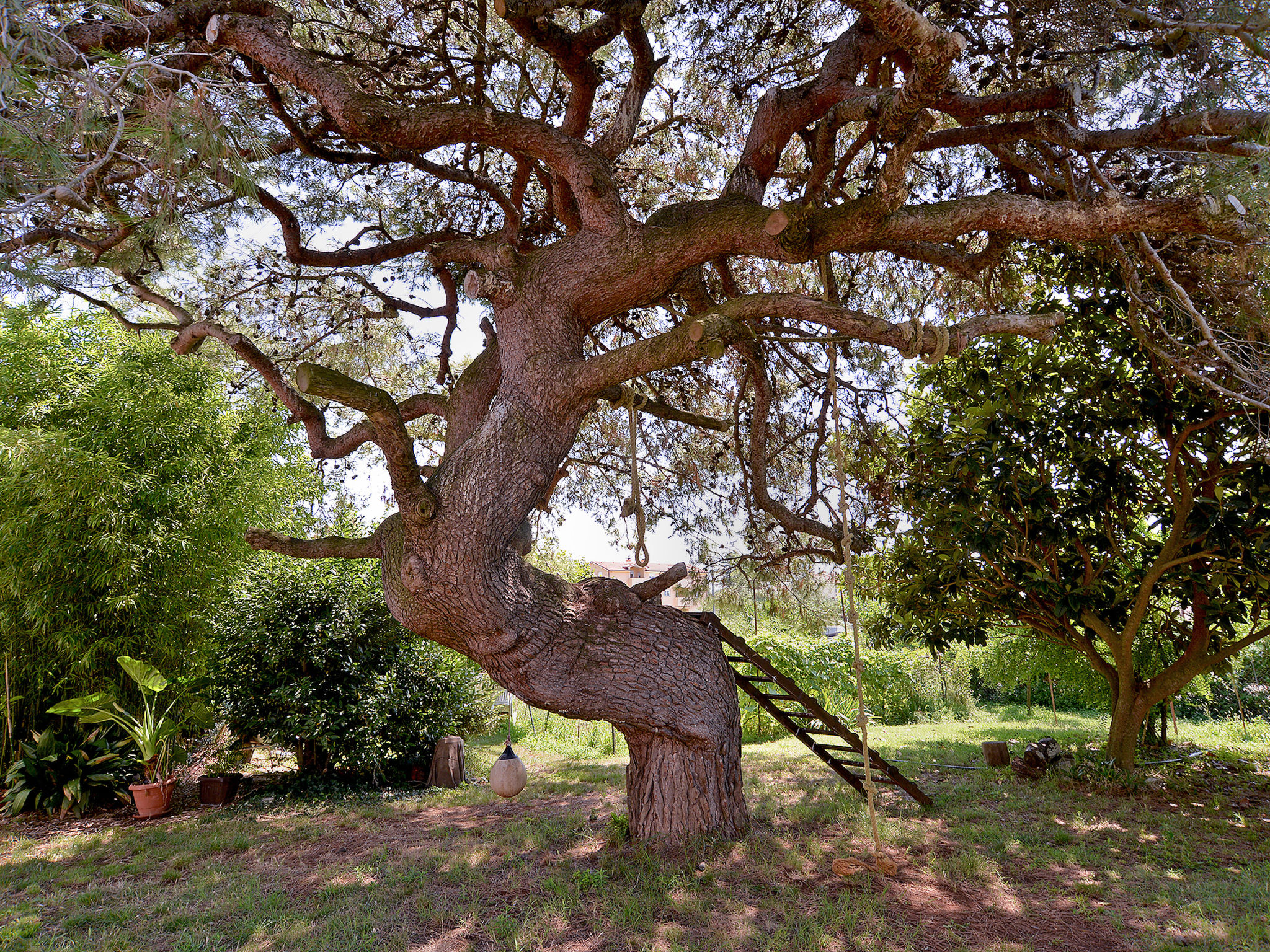 Photo of Apartment 1950