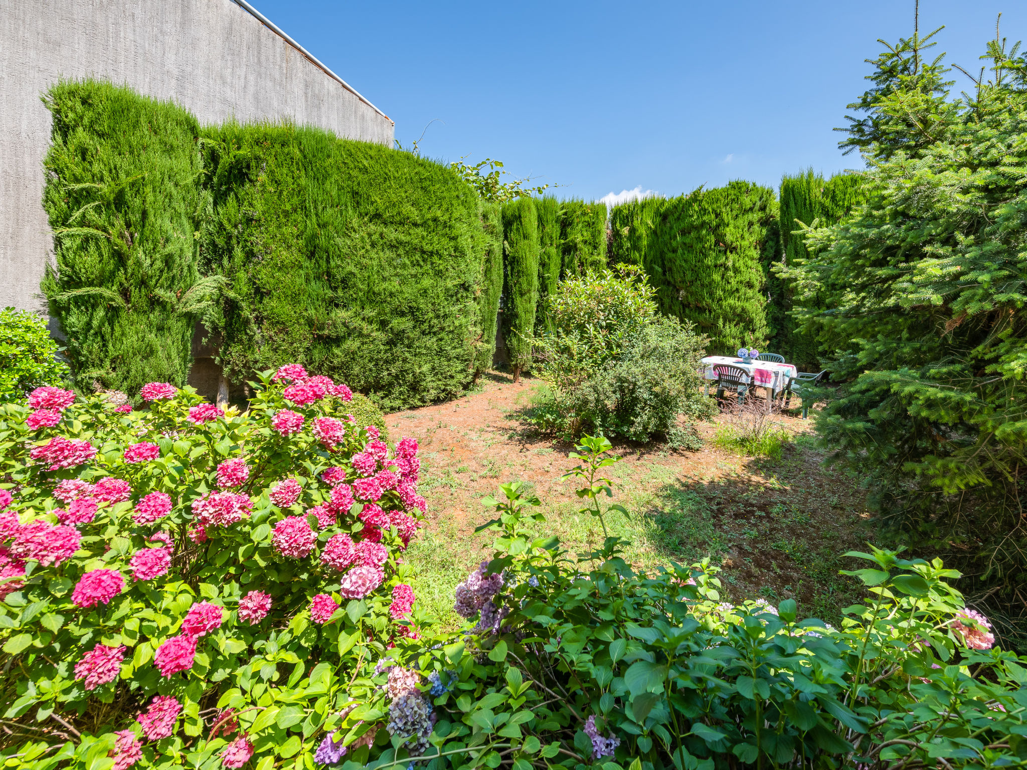 Photo of Apartment 1699