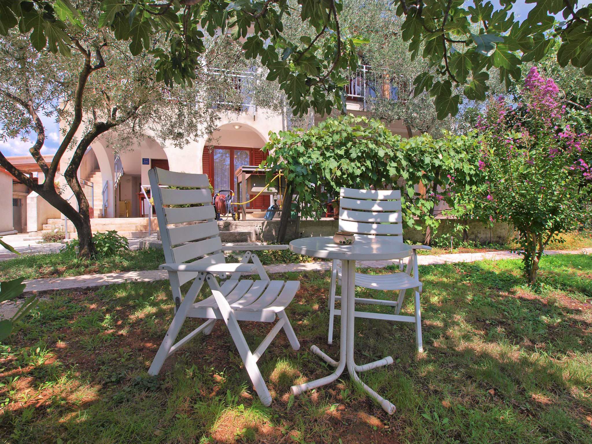 Photo of Apartment 1733