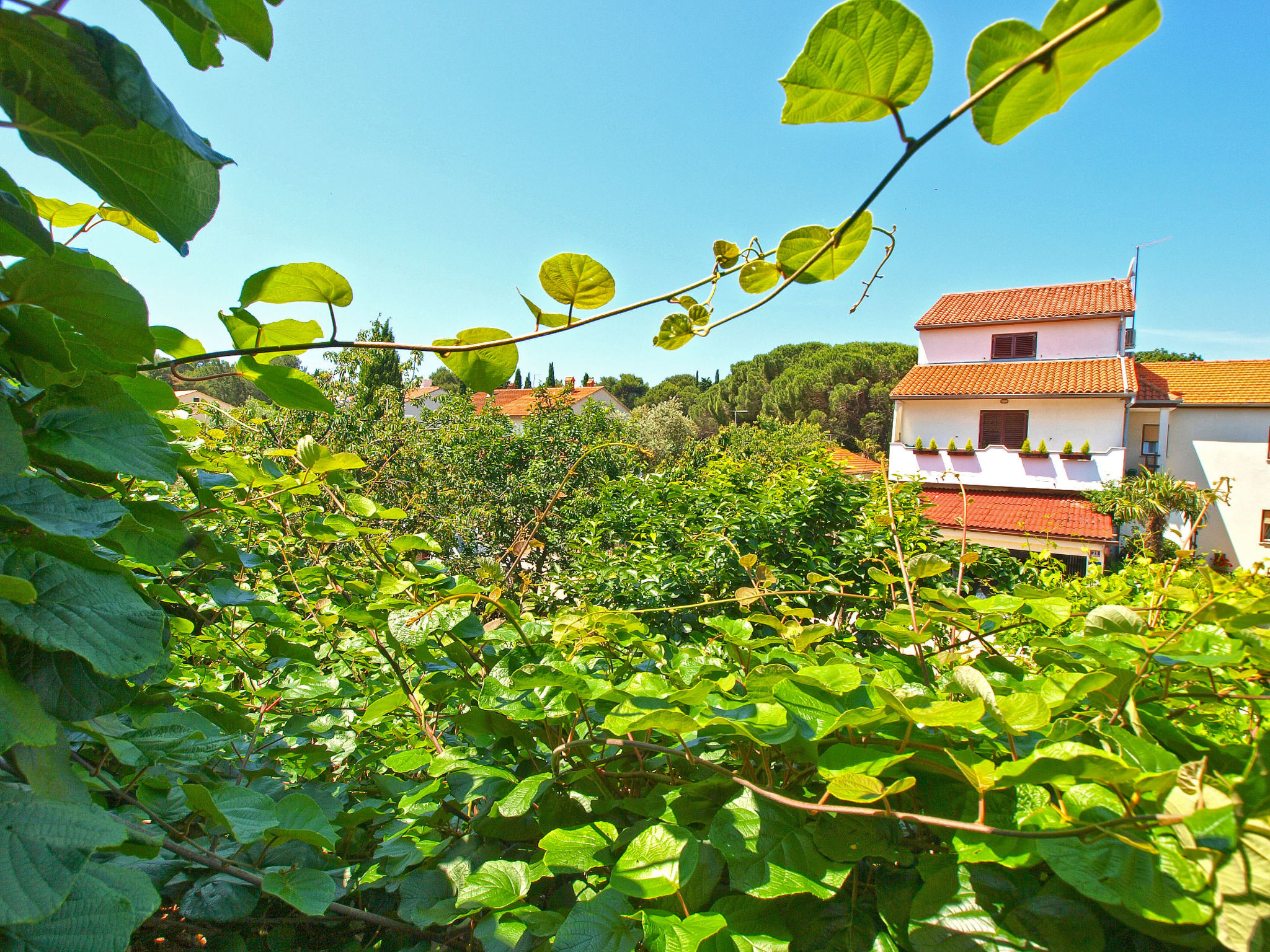 Photo of Apartment 1023