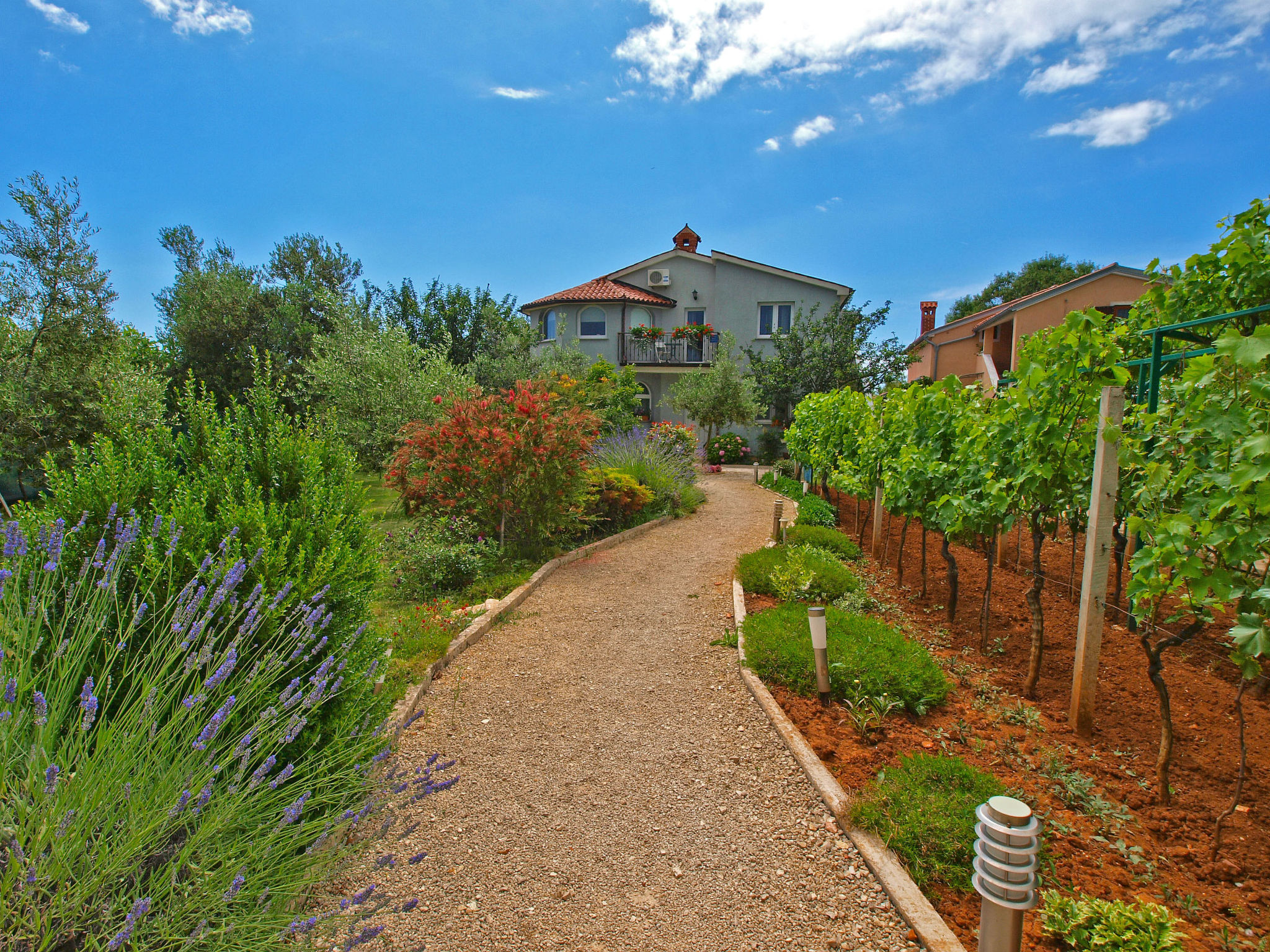 Photo of Apartment 1002