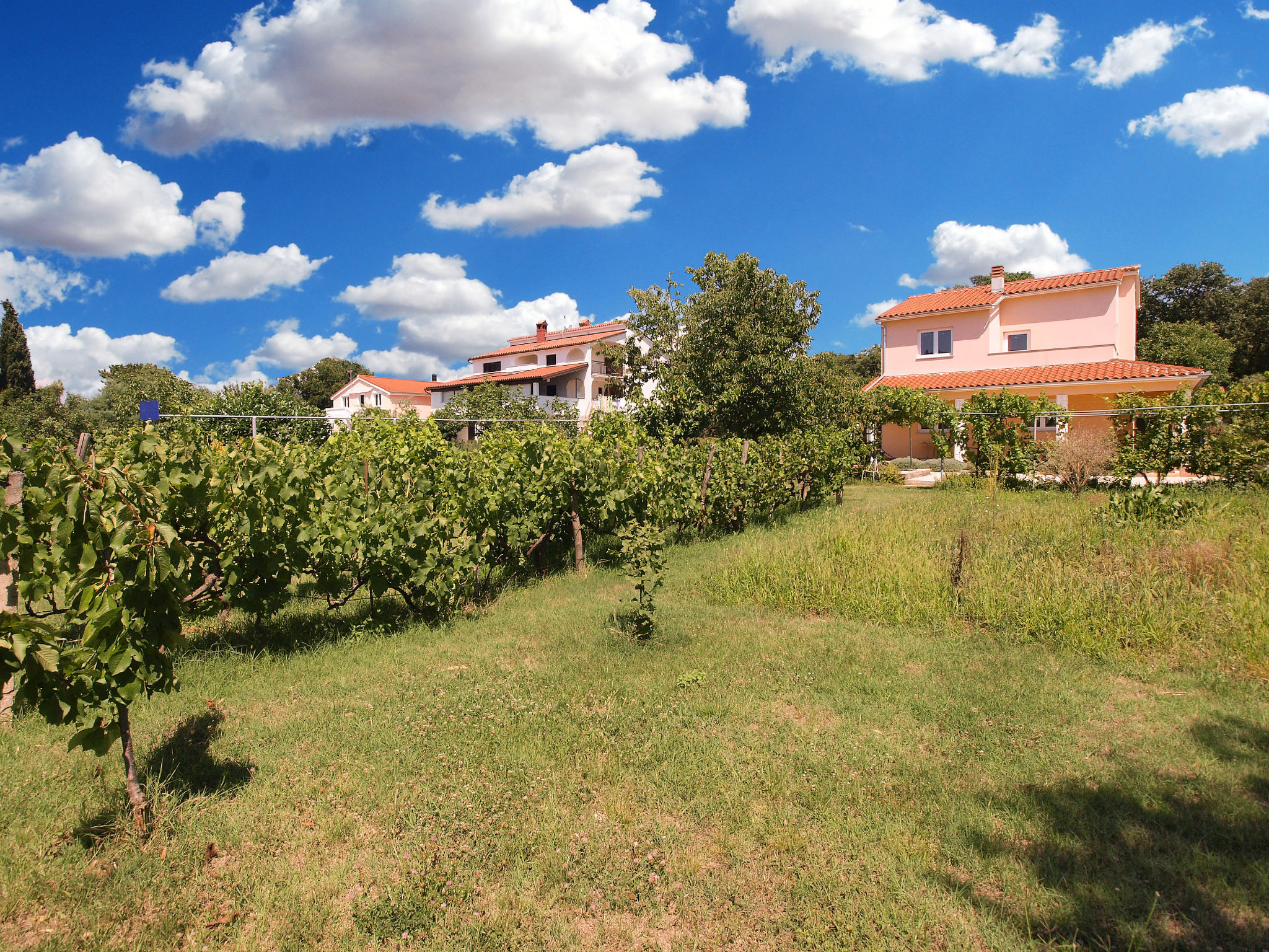 Apartment 1573 Apartment in Fazana