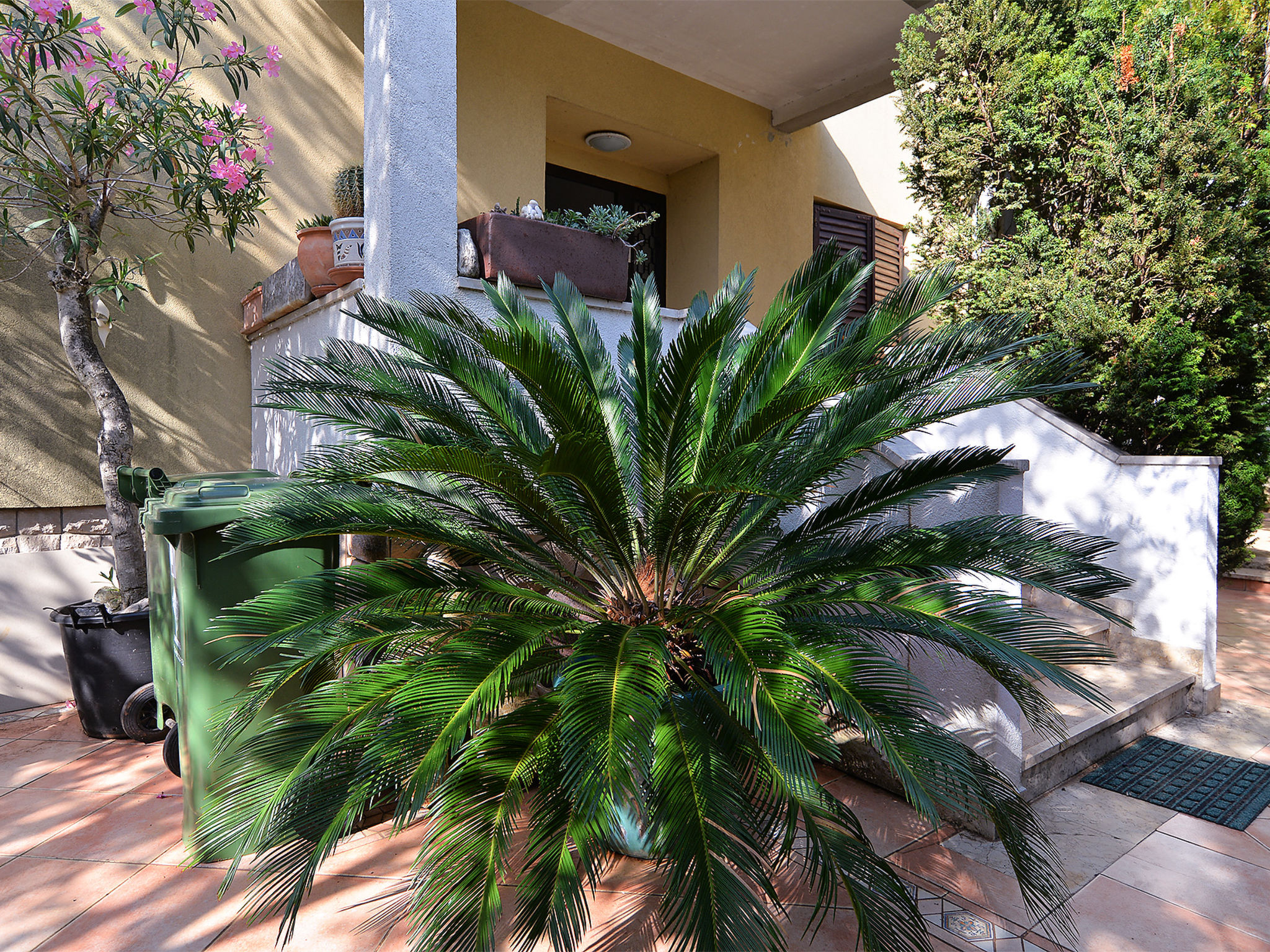 Photo of Apartment 2058