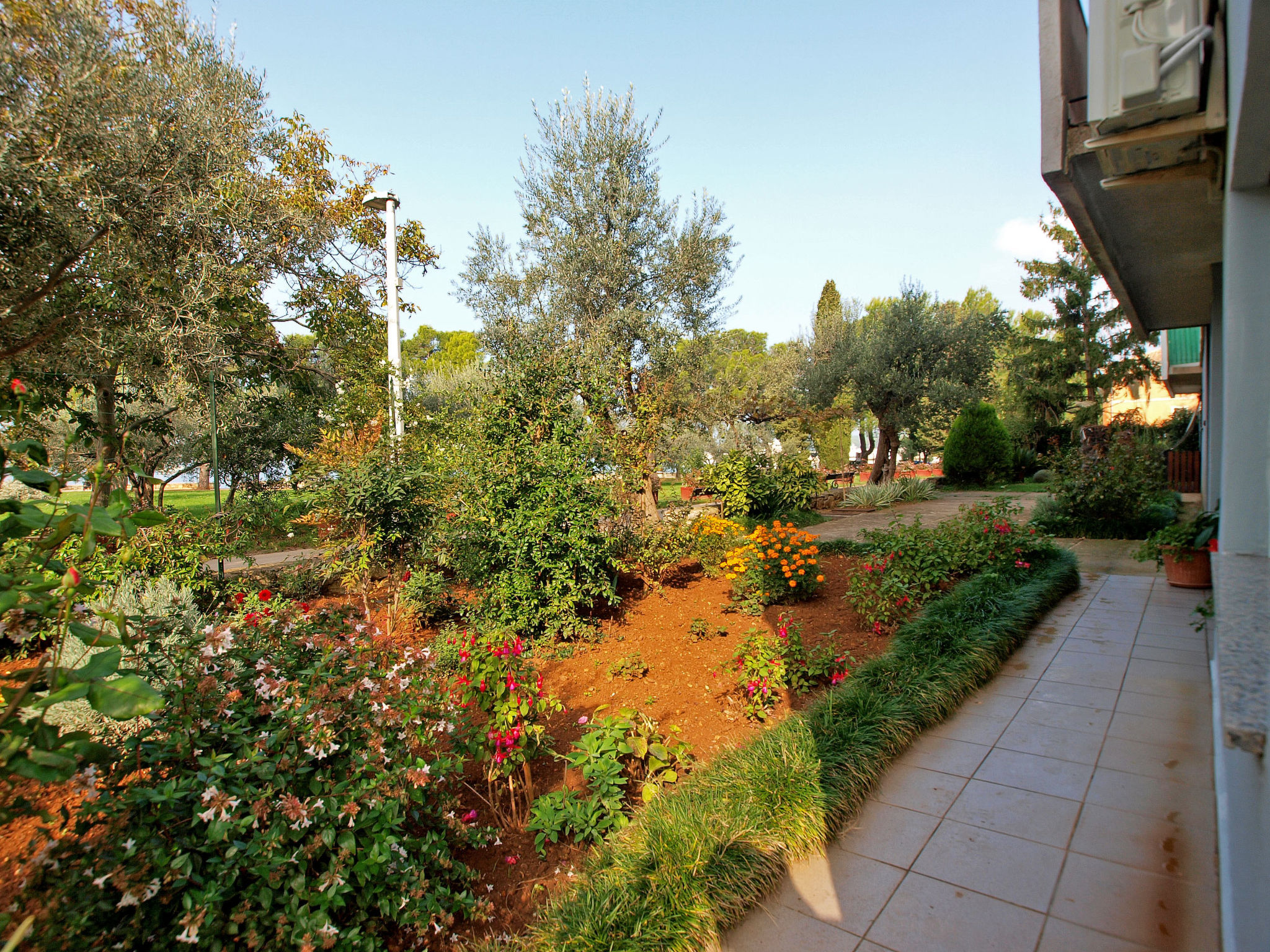 Photo of Apartment 1389