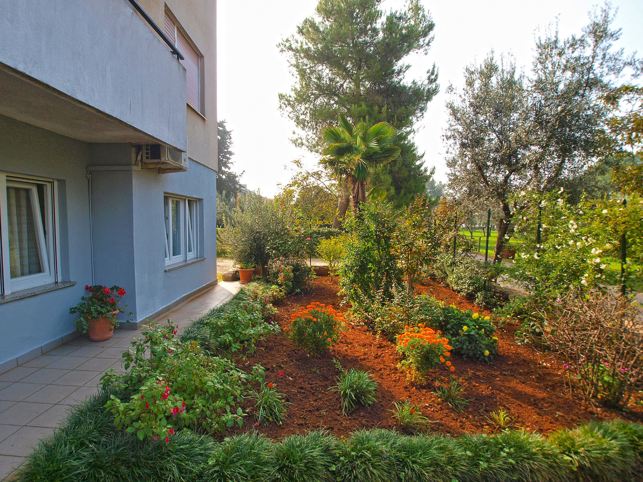 Photo of Apartment 1389