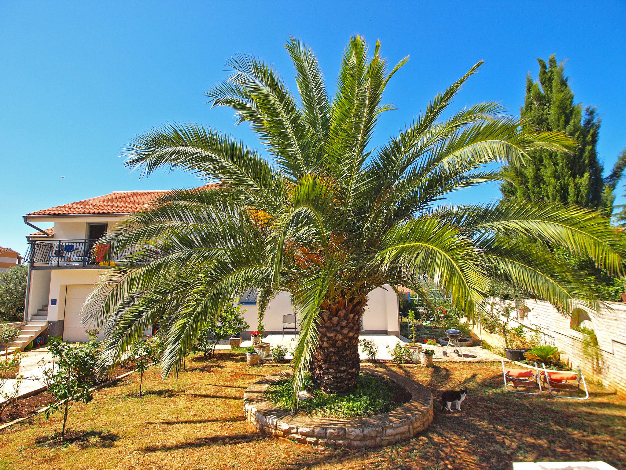 Photo of Apartment 1030