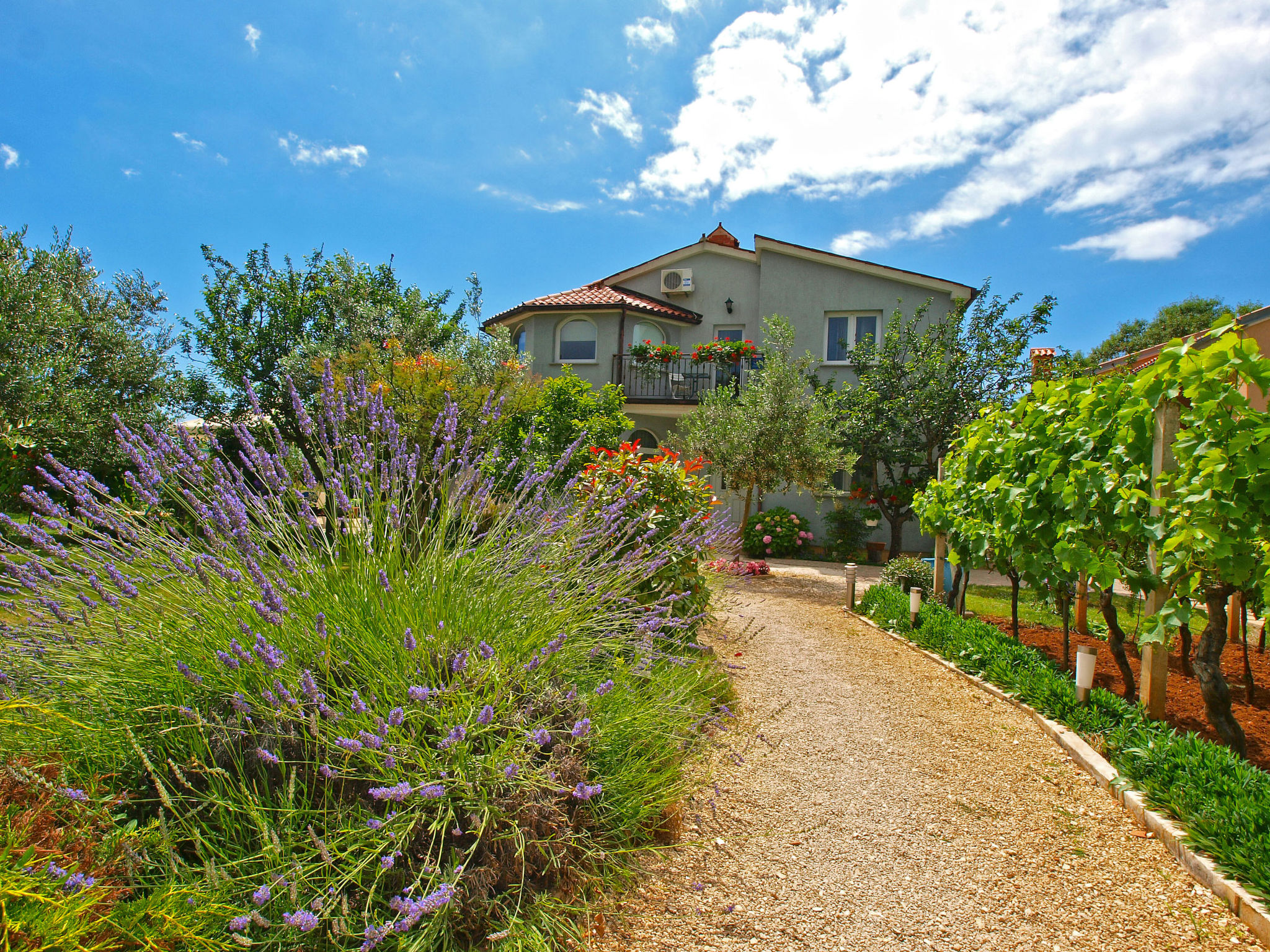 Photo of Apartment 1002