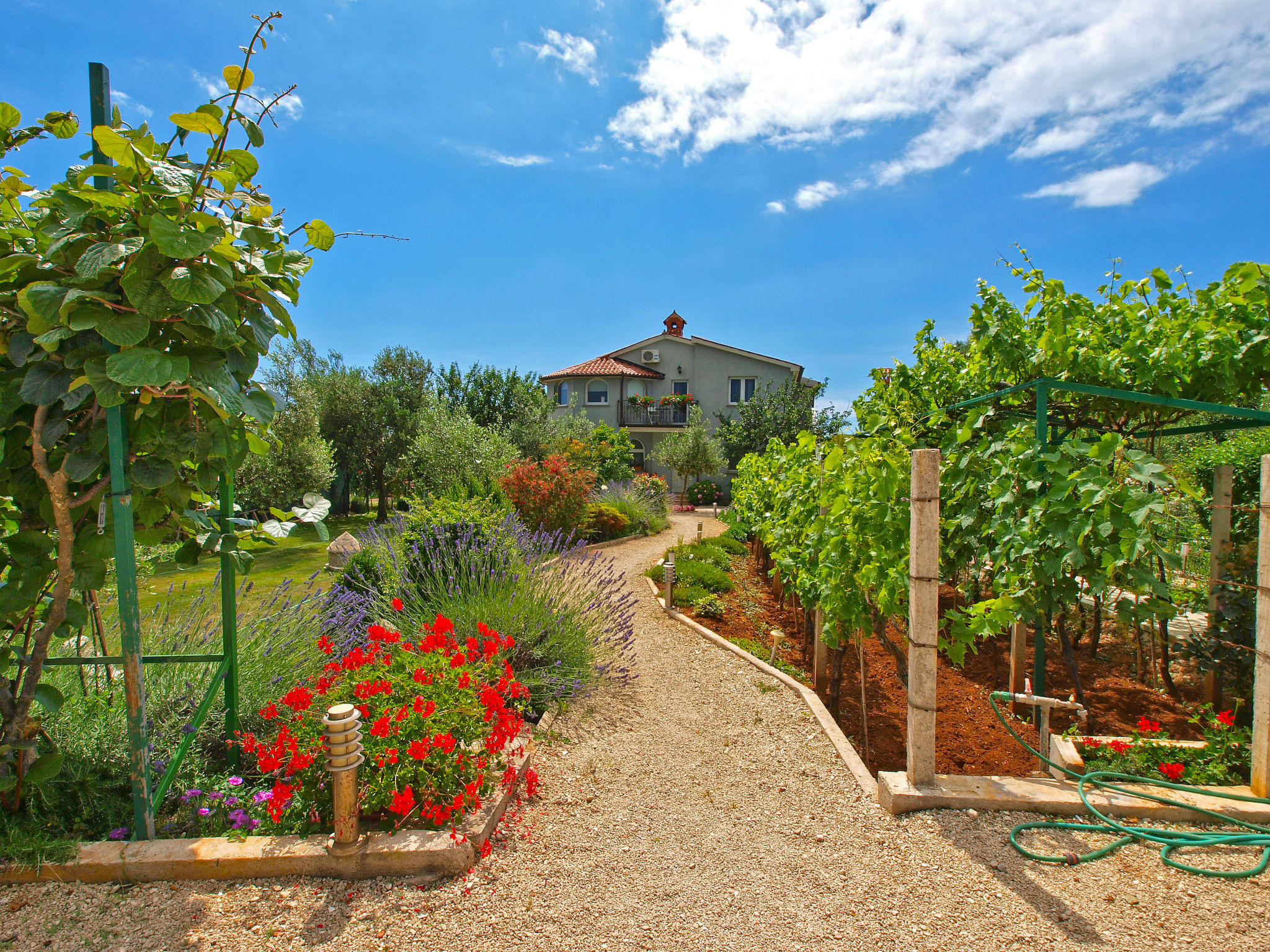 Photo of Apartment 1002