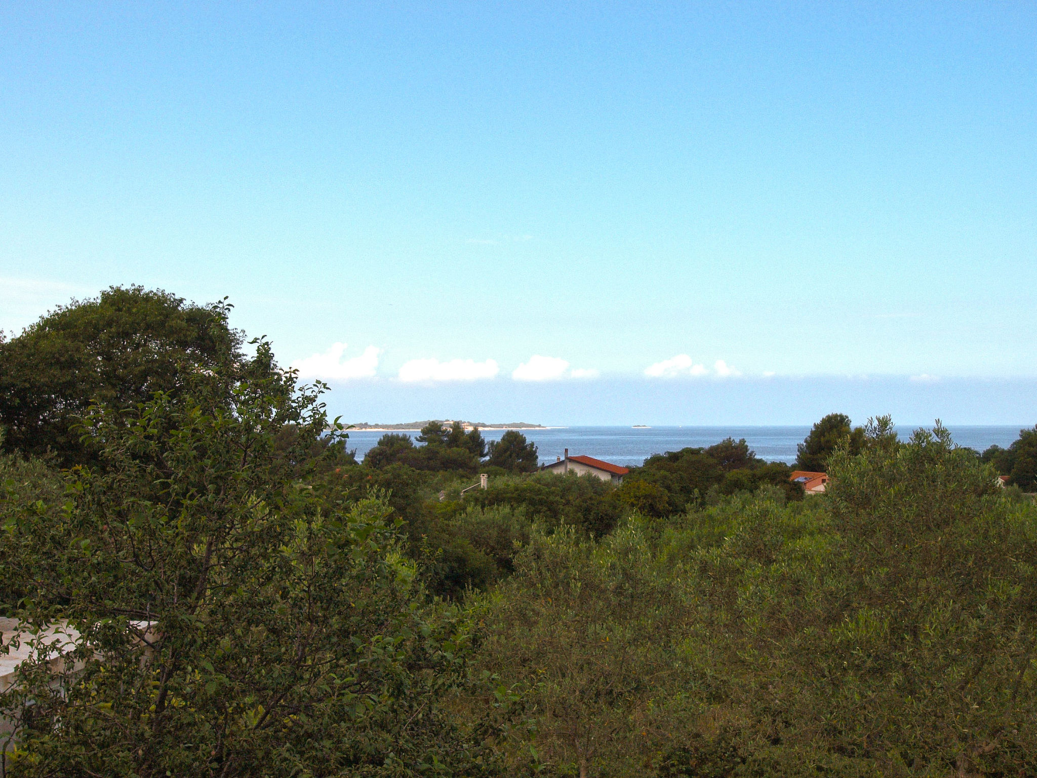 Photo of Apartment 1665