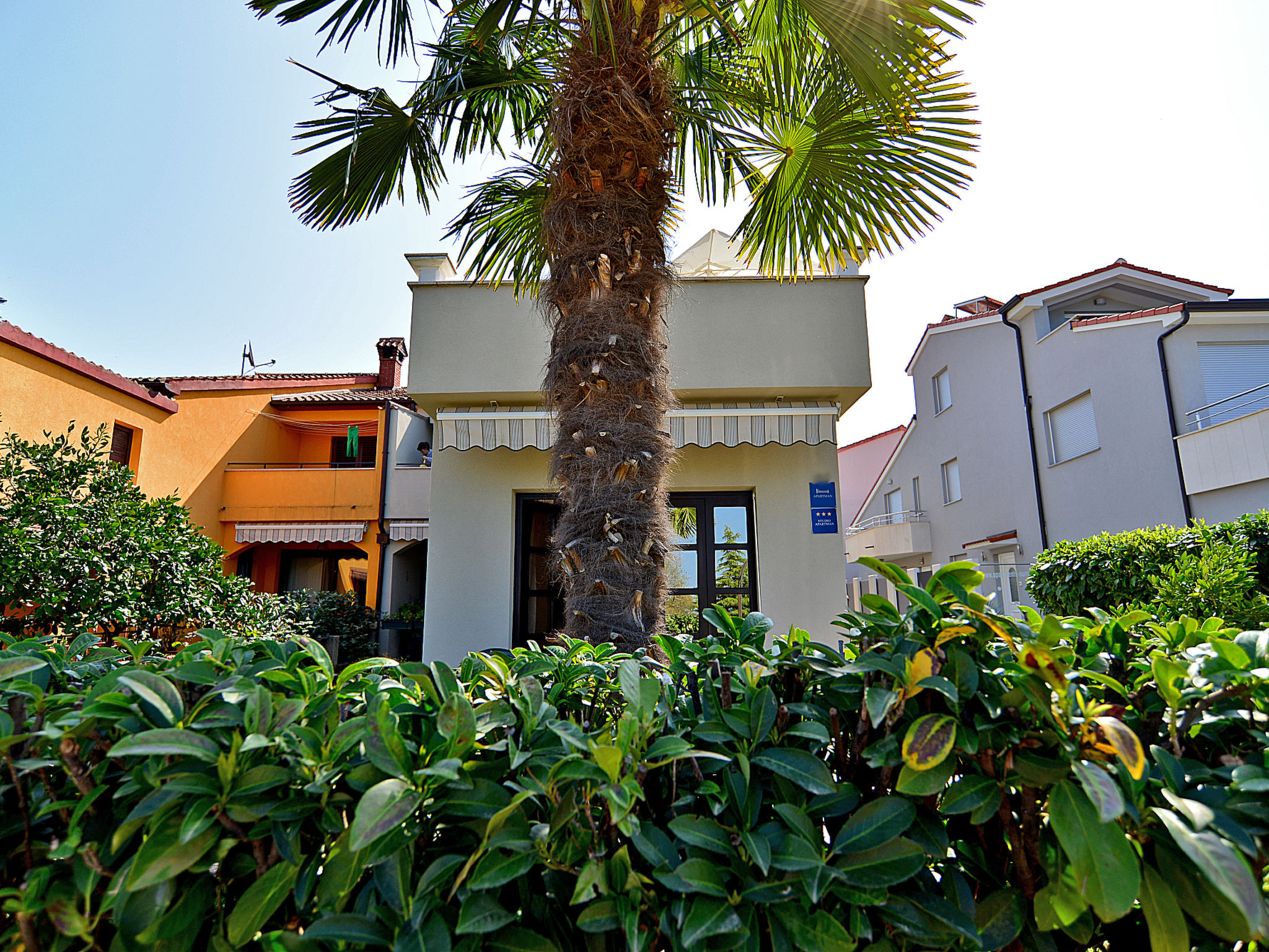 Photo of Apartment 589