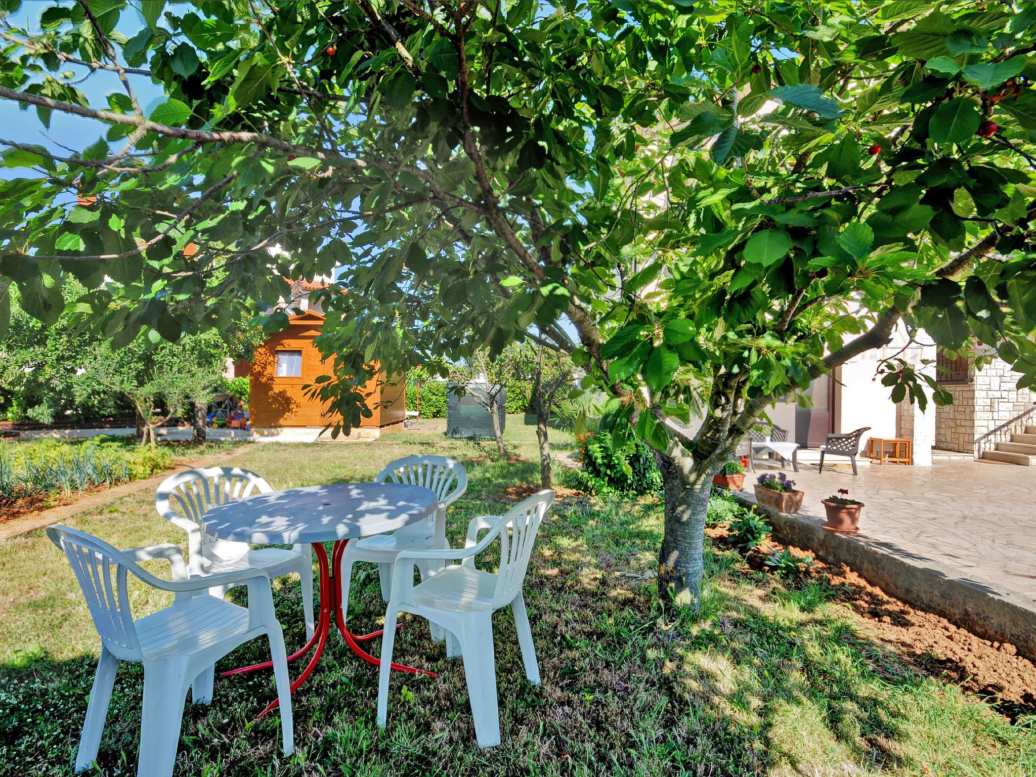 Photo of Apartment 38