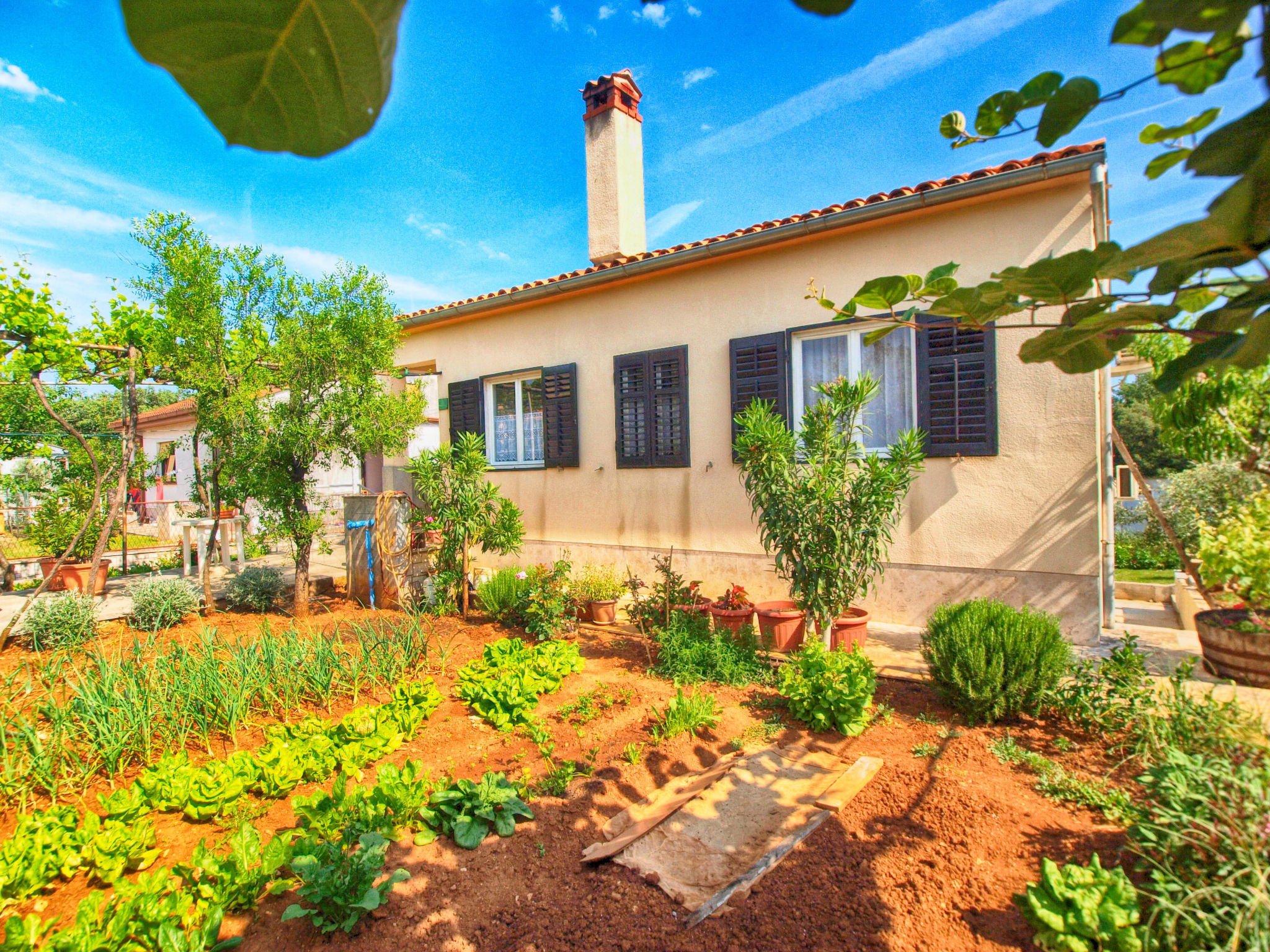 Photo of Apartment 1365