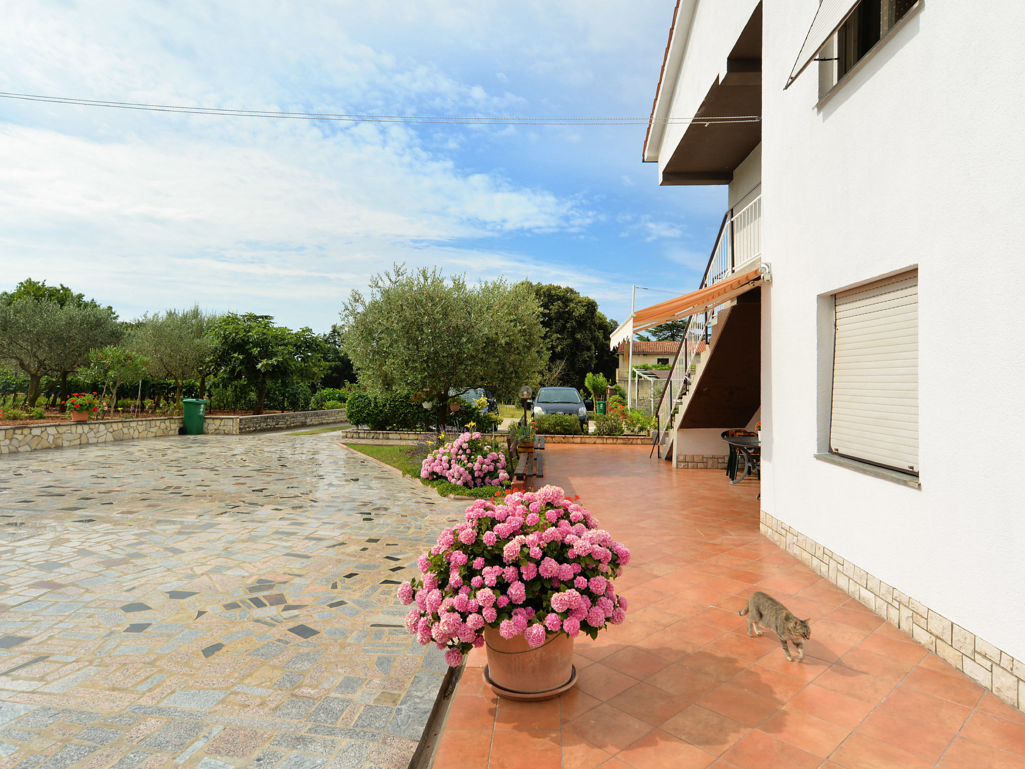 Photo of Apartment 1552