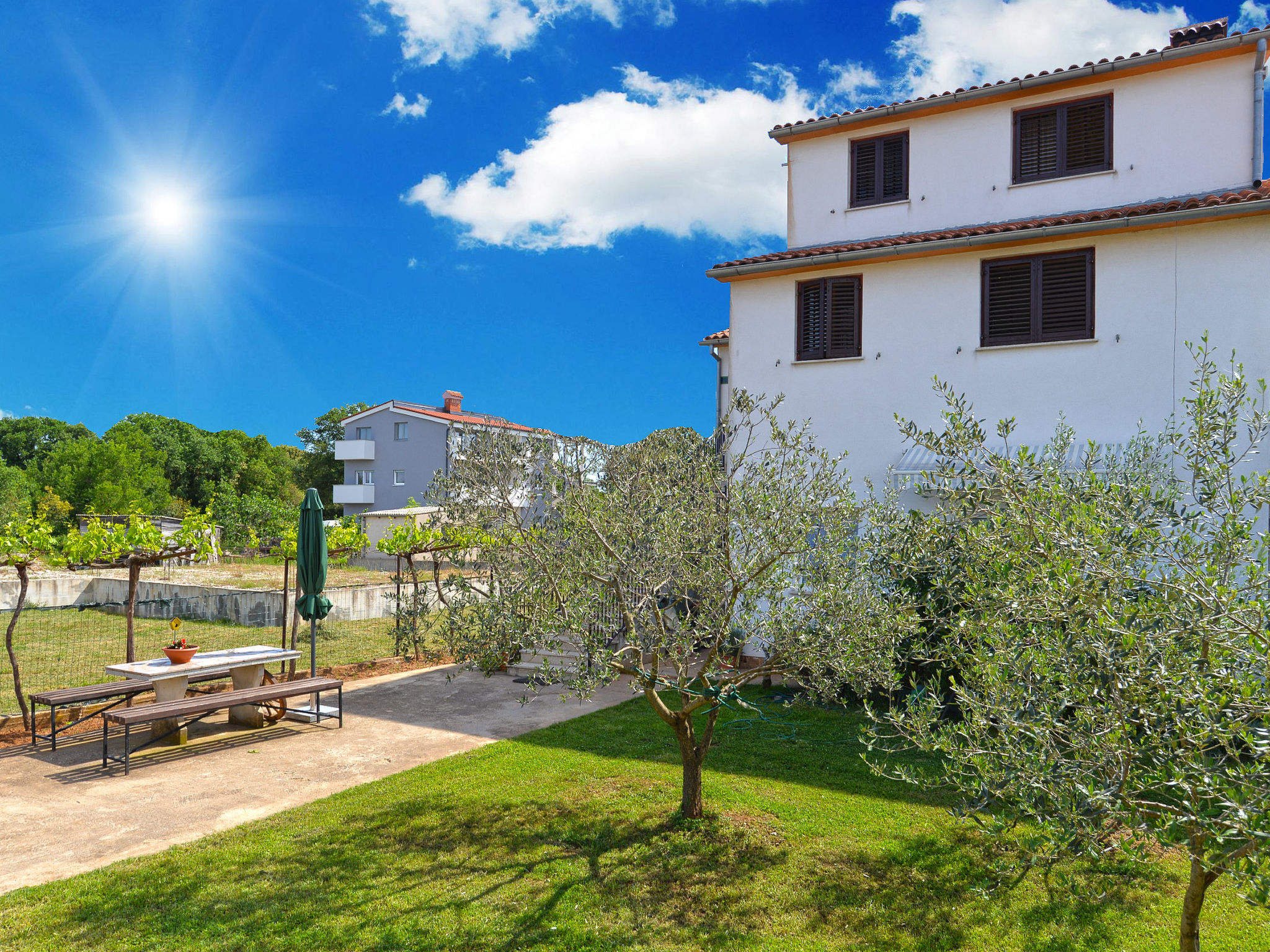 Photo of Apartment 1629