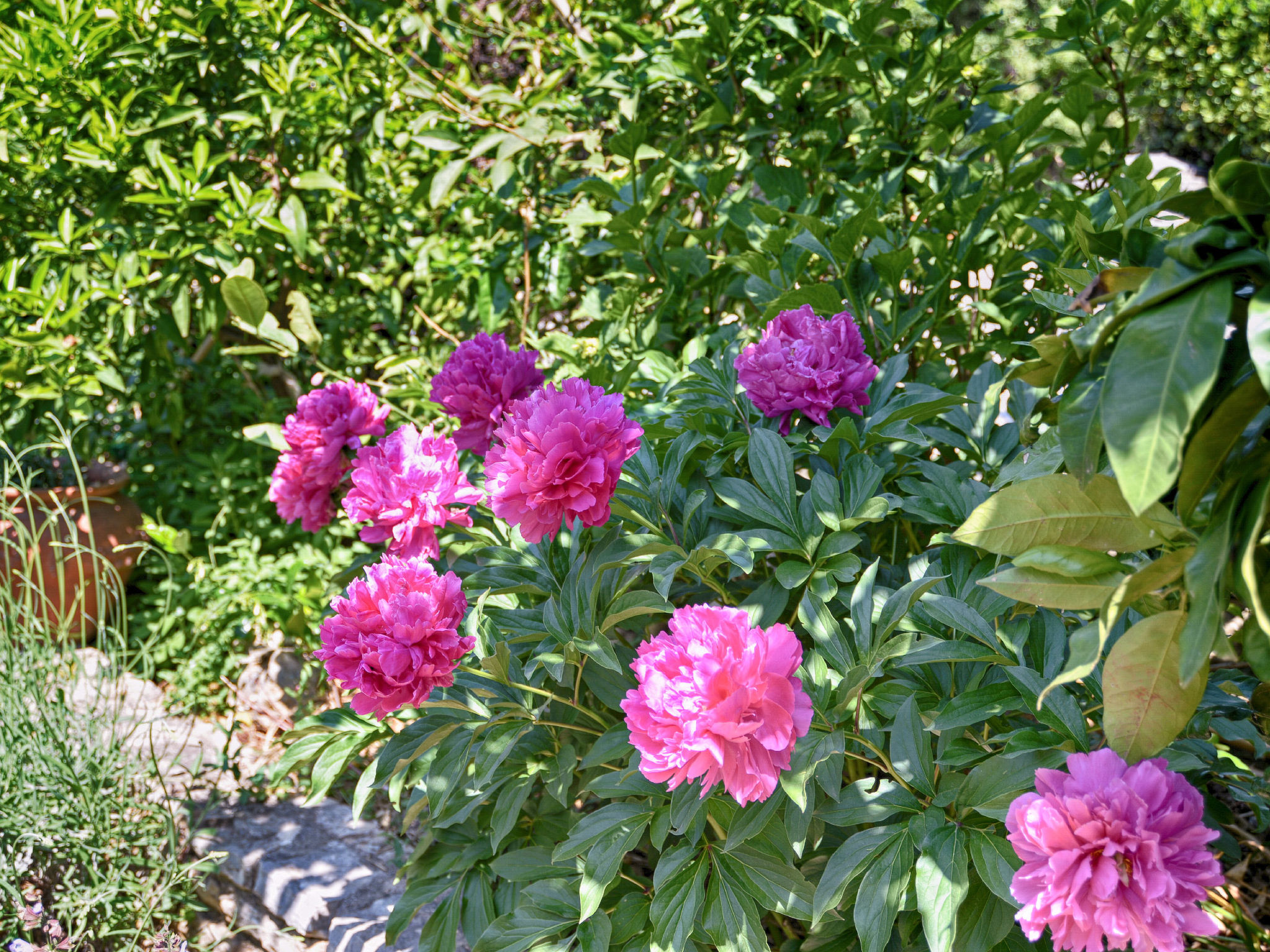 Photo of Apartment 1642