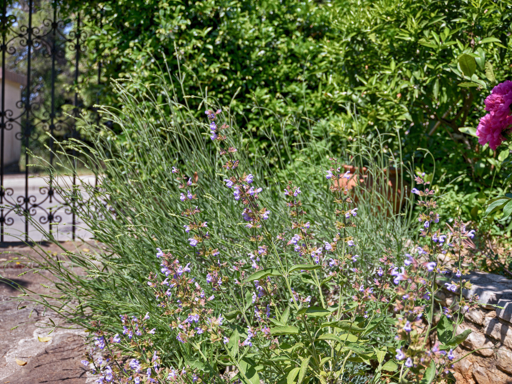 Photo of Apartment 1642