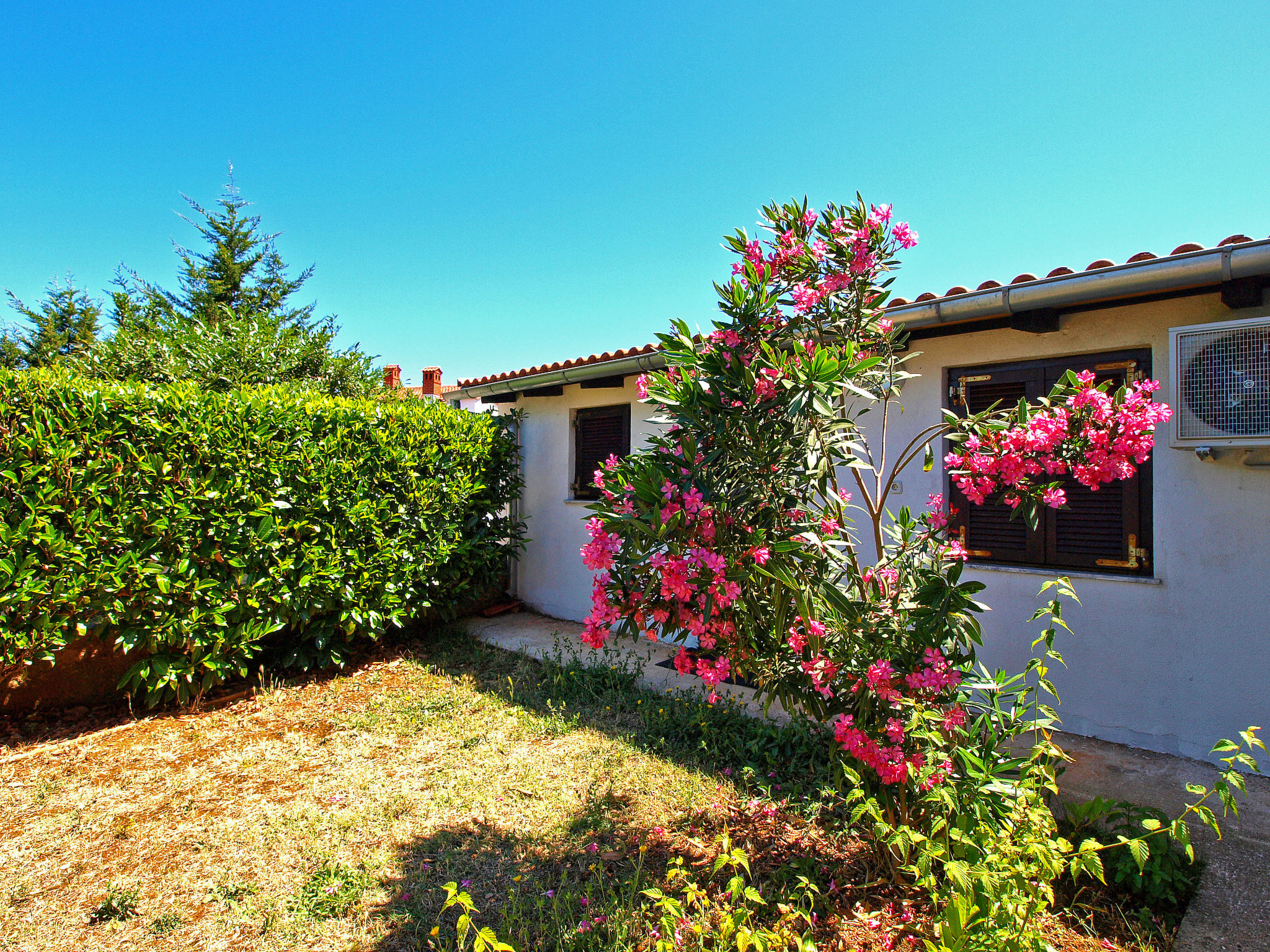 Photo of Apartment 534