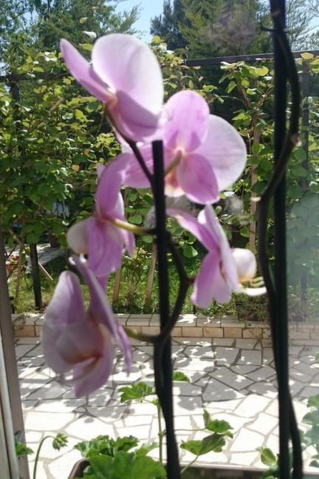 Photo of Wohnung mit Garten in der Nähe des Zentrums