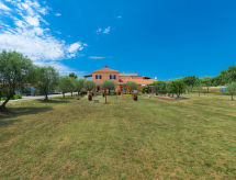 Apartamento SaNi