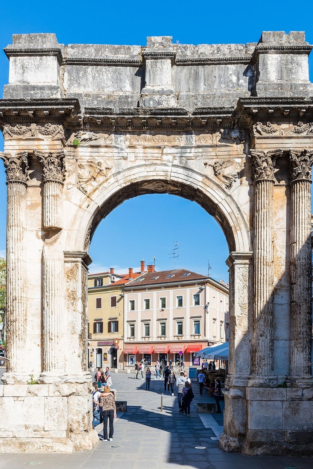 Photo of Iris Croatica