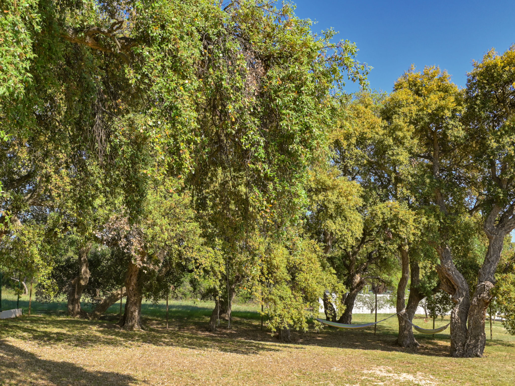 Photo of Montevernal