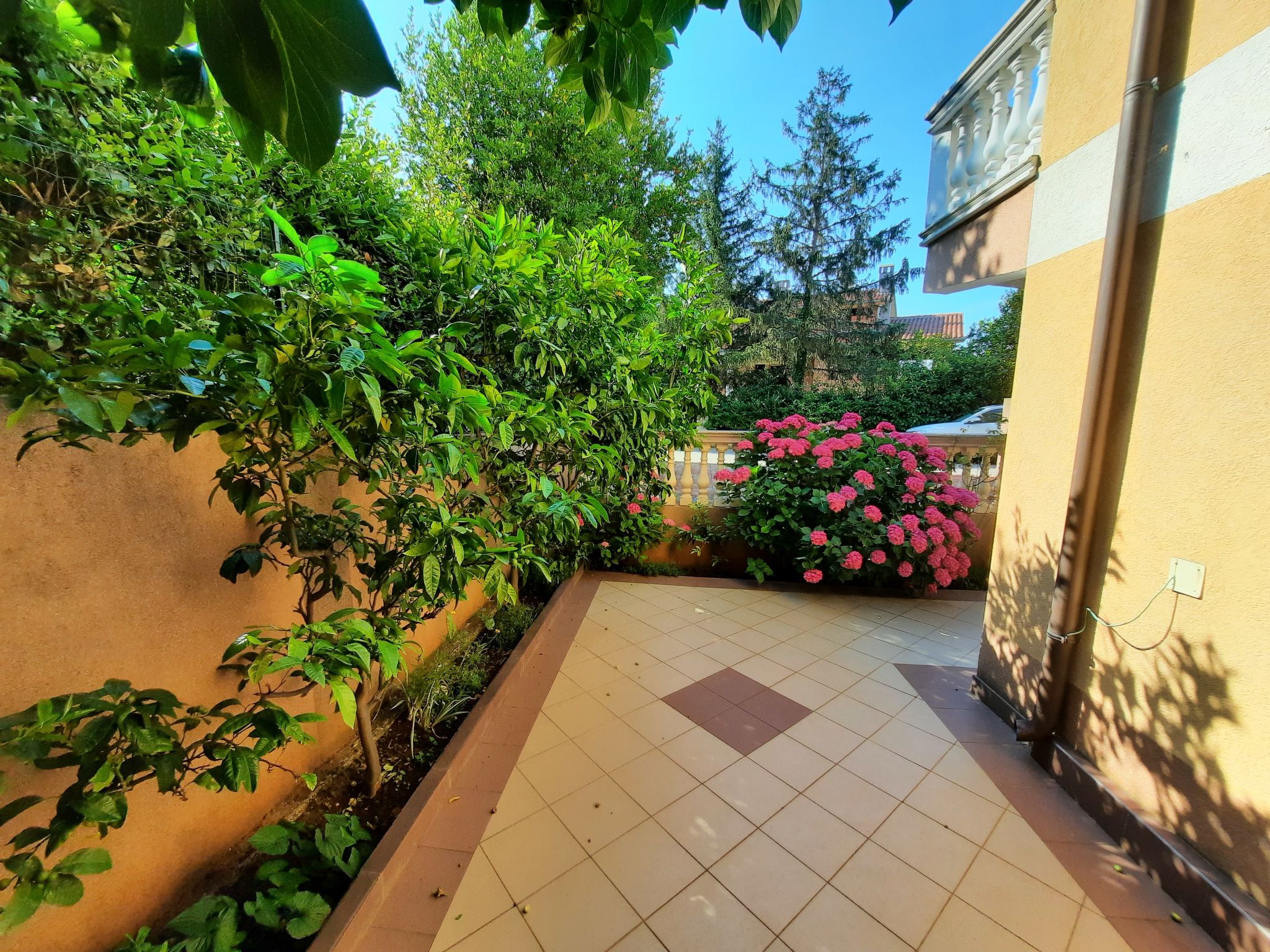 Photo of Villa Canaria 1