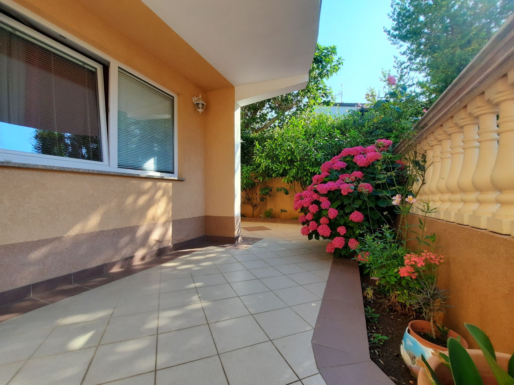 Photo of Villa Canaria 1